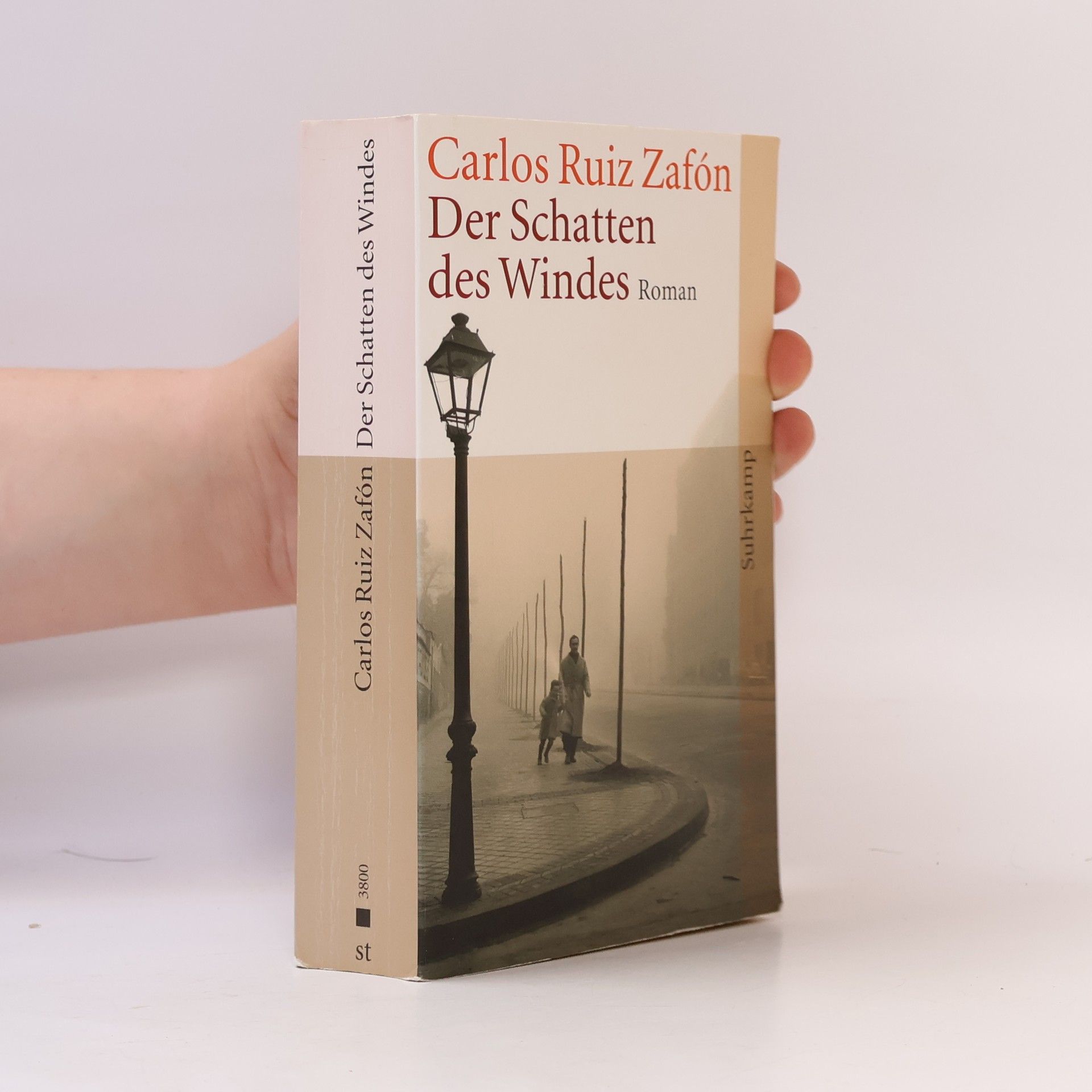 Carlos Ruiz Zafón Der Schatten des Windes