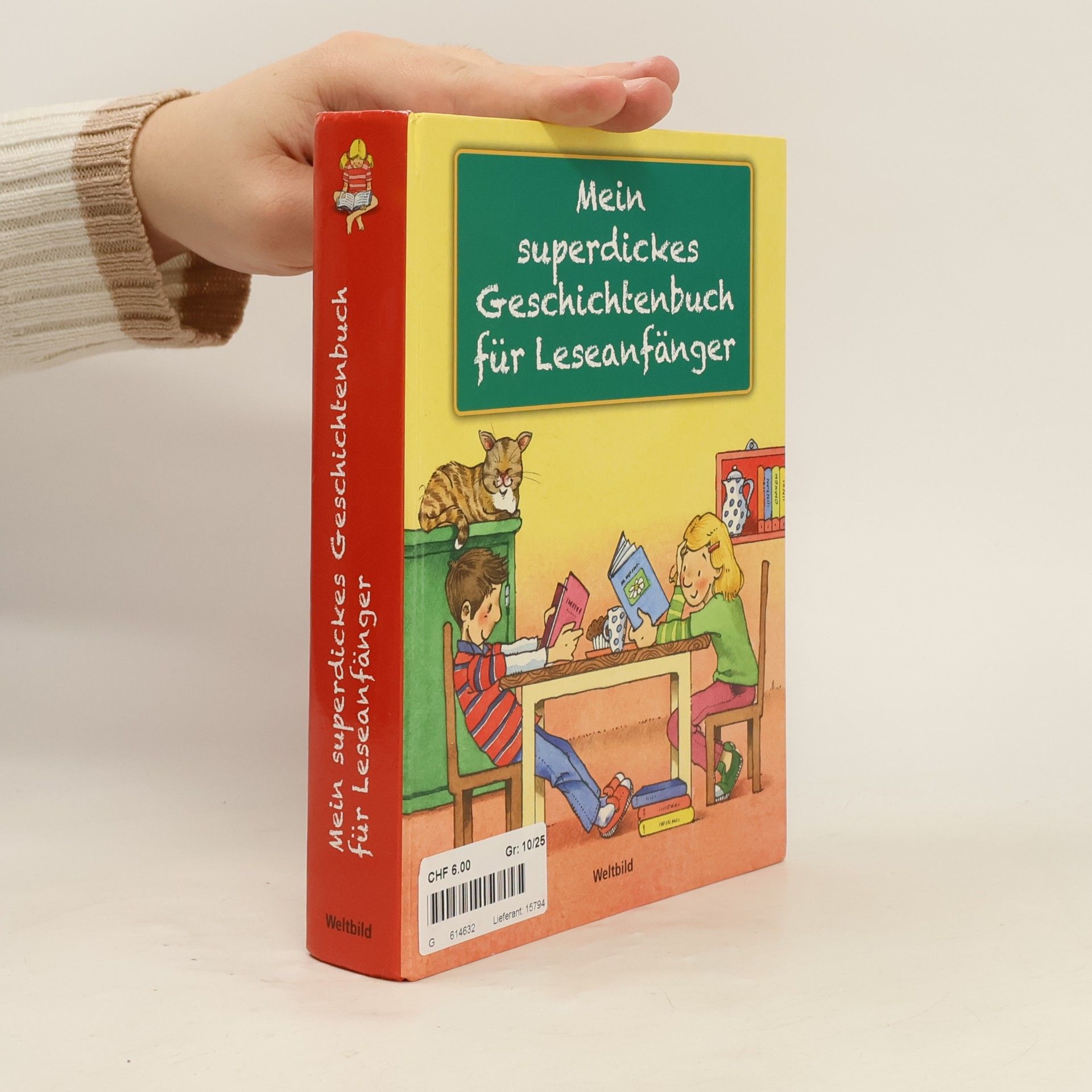 Autorenkollektiv Mein superdickes Geschichtenbuch für Leseanfänger