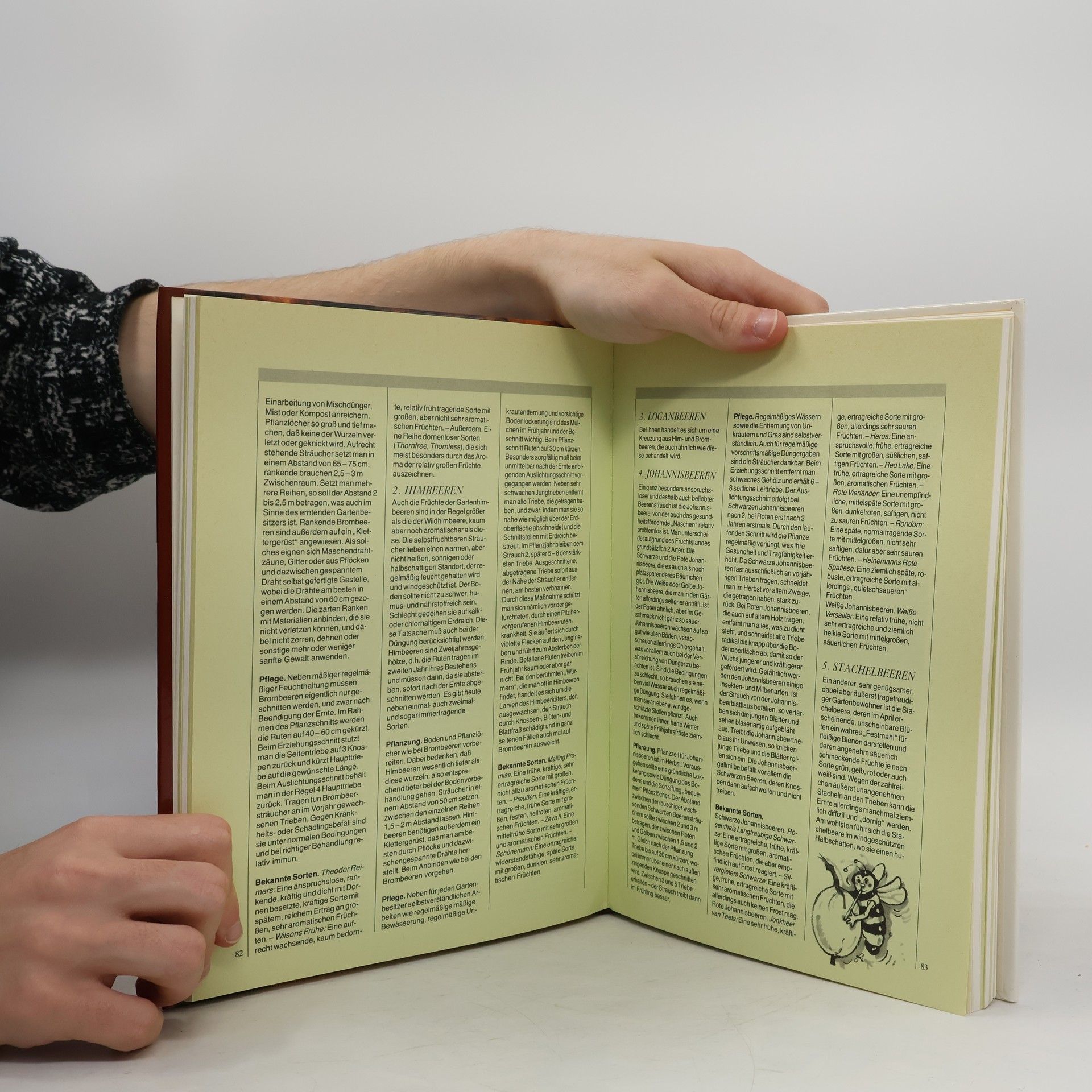 Autorenkollektiv Obst und Früchte Von A-Z