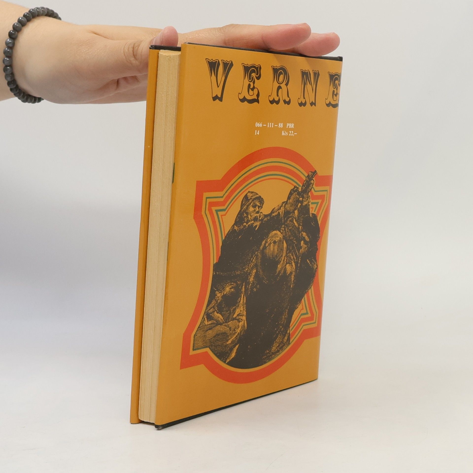 Jules Verne Pani Branicanová