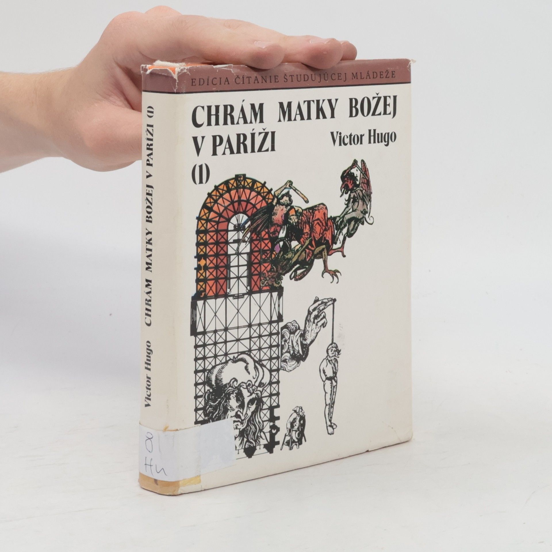 Victor Hugo Chrám matky božej v Paríži 1
