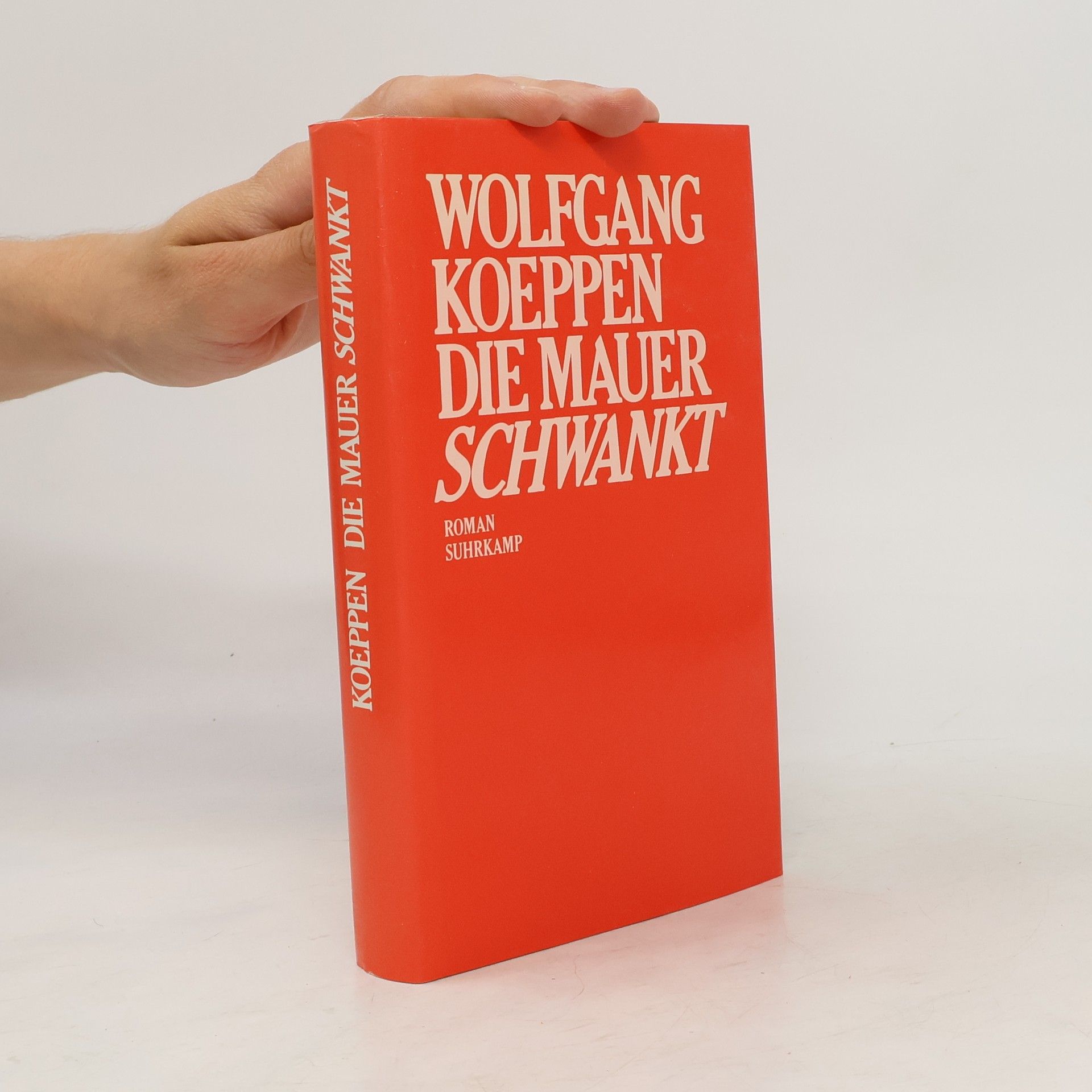Wolfgang Koeppen Die Mauer schwankt