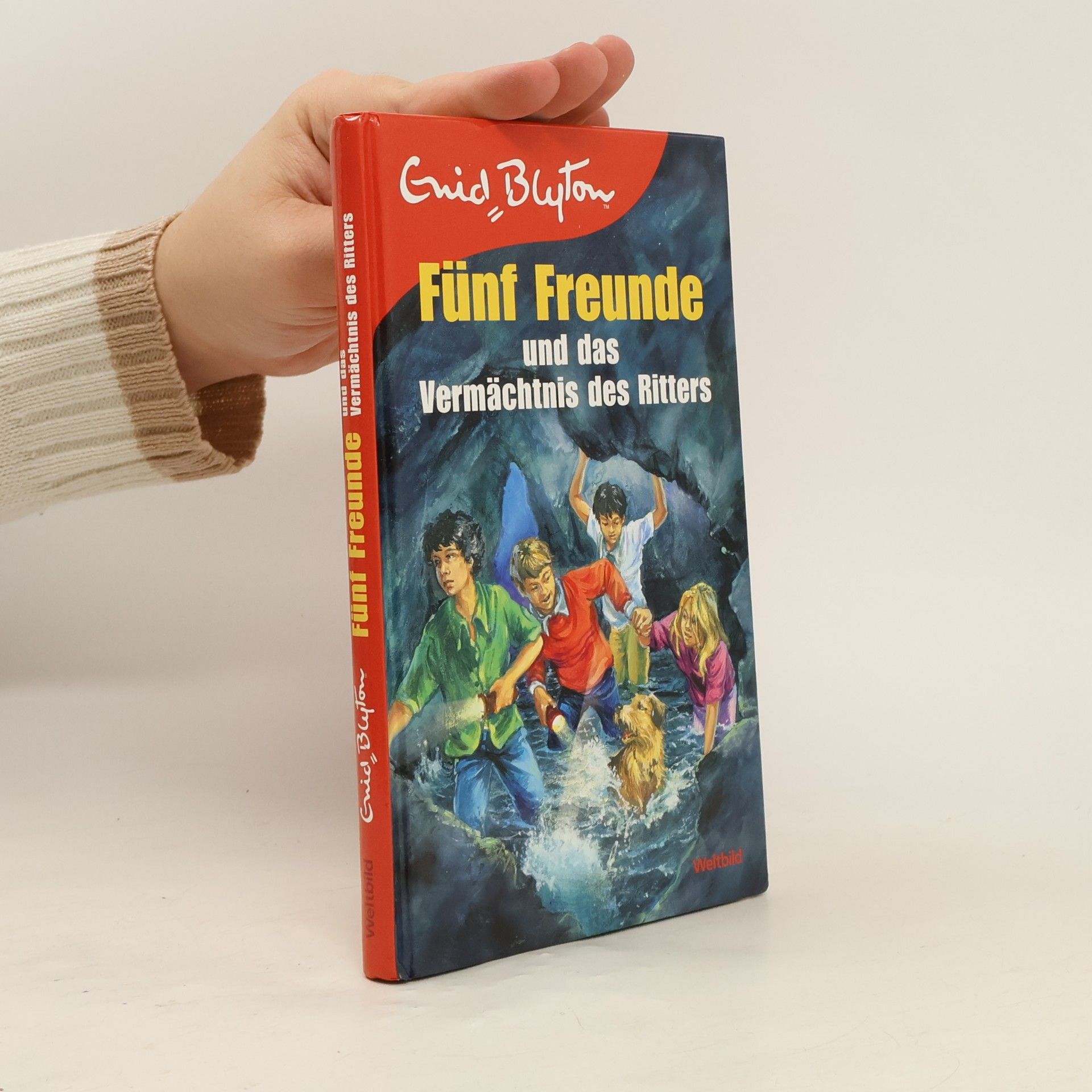 Enid Blyton Fünf Freunde und das Vermächtnis des Ritters