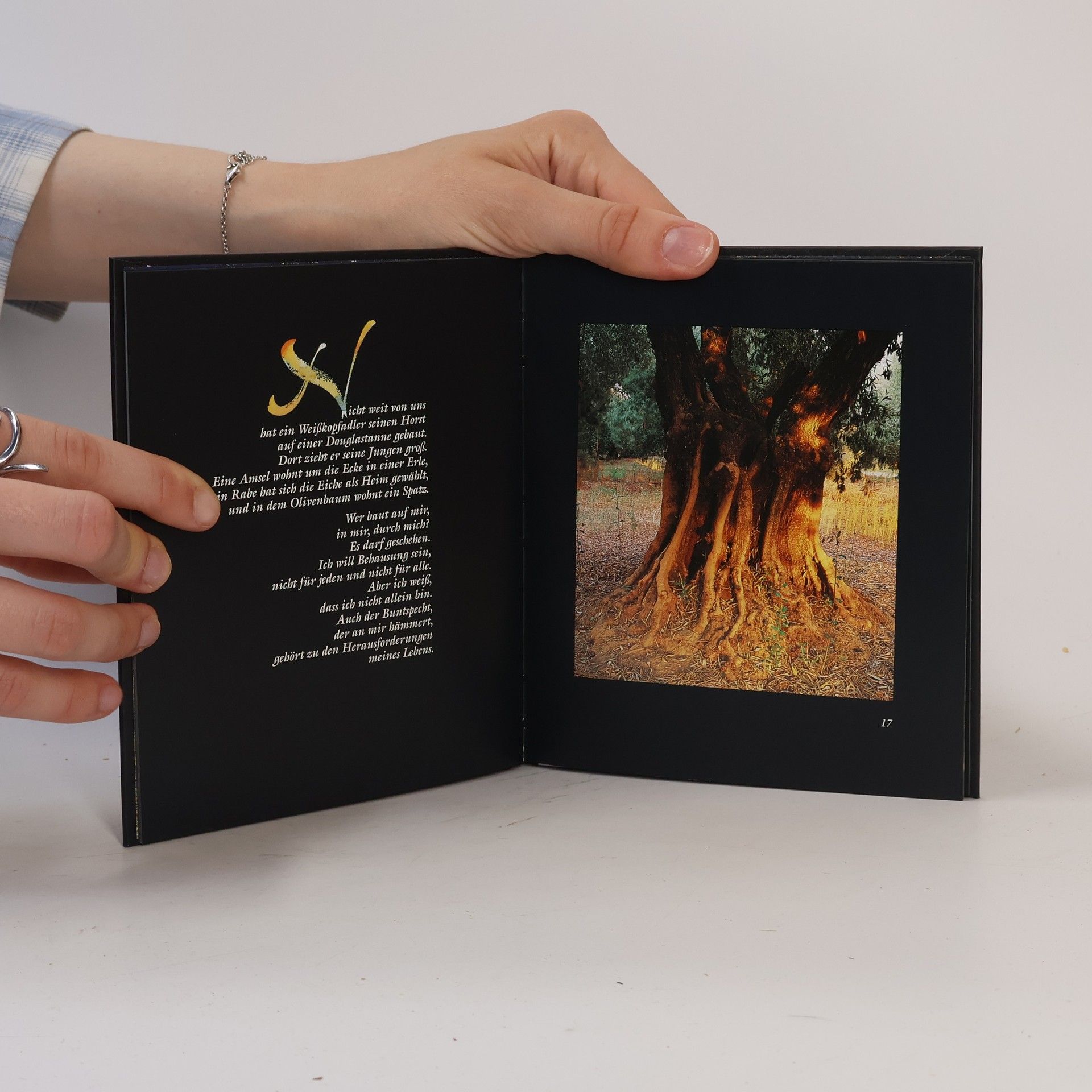 Ulrich Schaffer Sein wie ein Baum