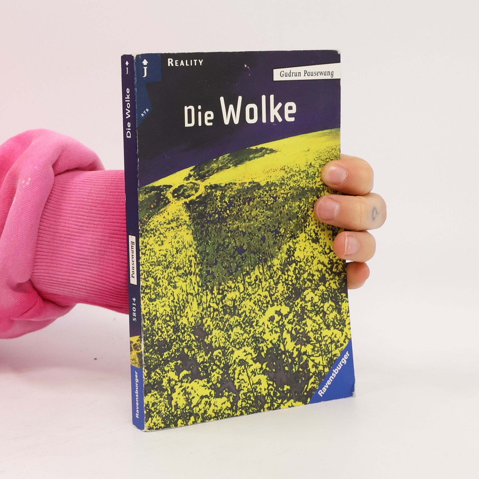Gudrun Pausewang Die Wolke