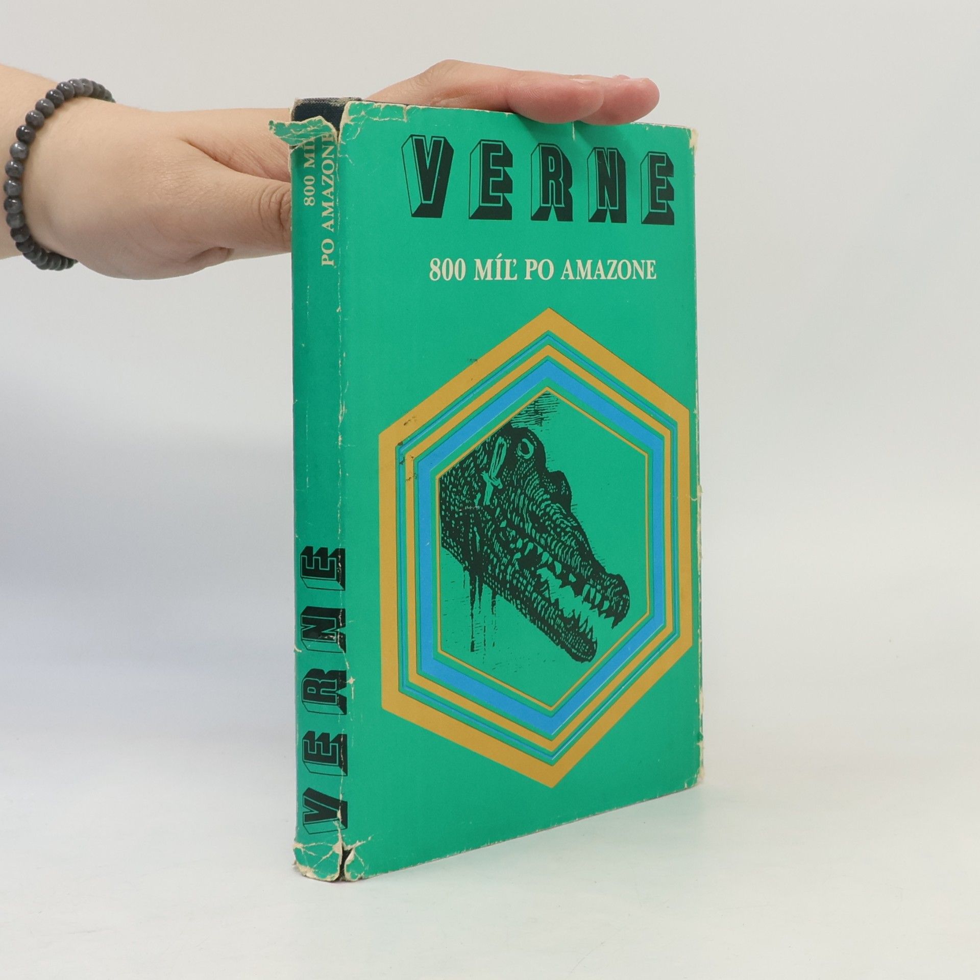 Jules Verne 800 míľ po Amazone