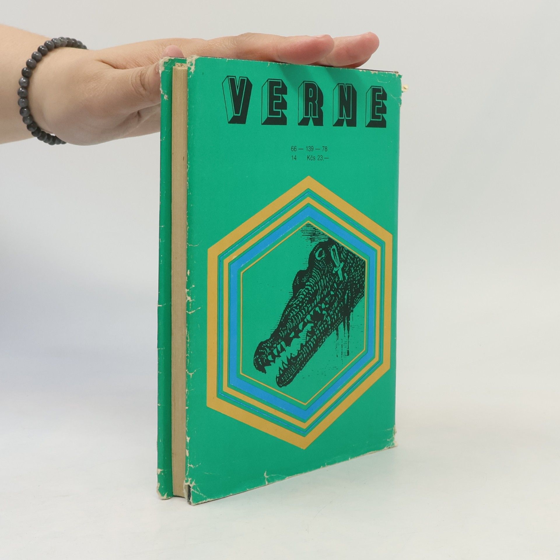 Jules Verne 800 míľ po Amazone
