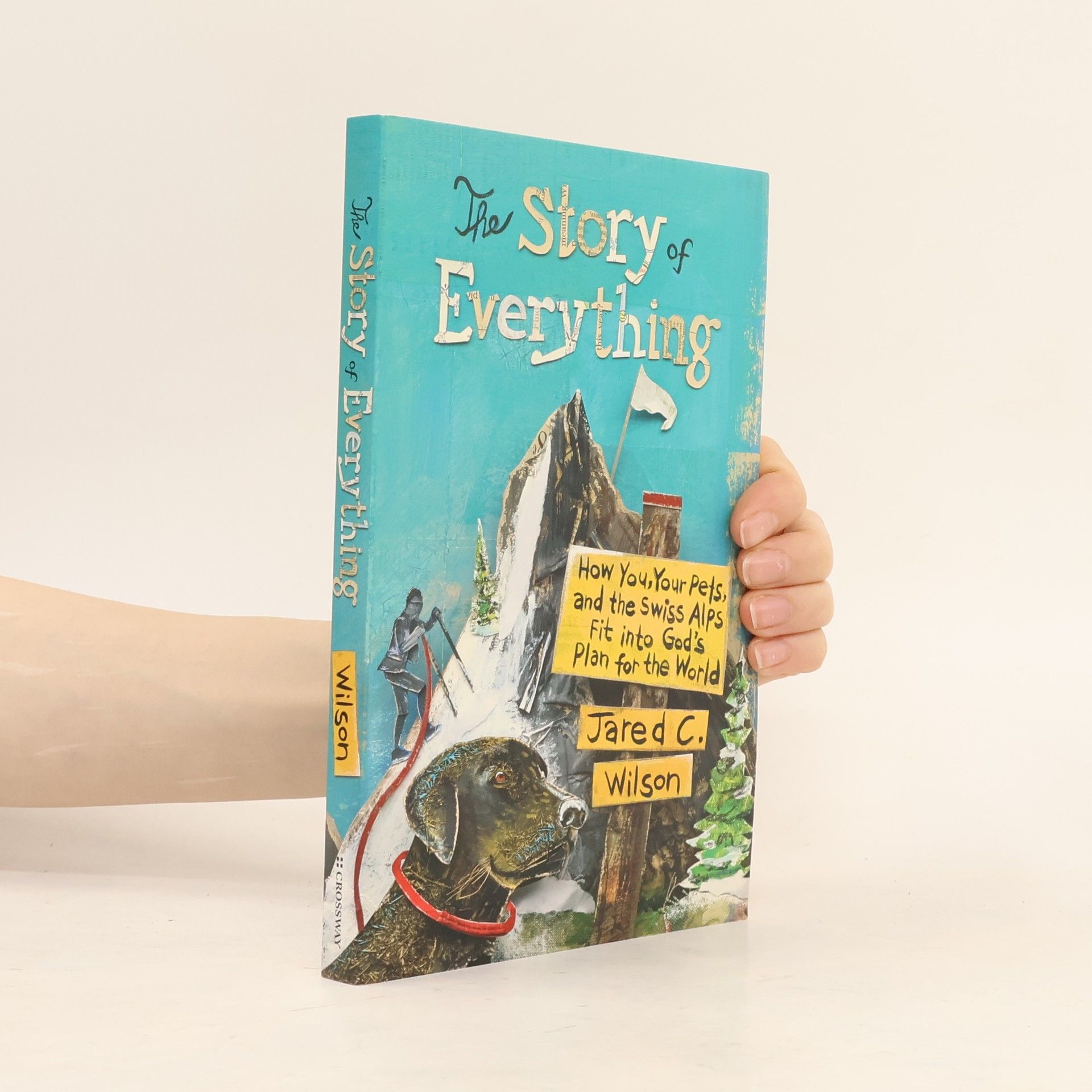 Jared C. Wilson The Story of Everything