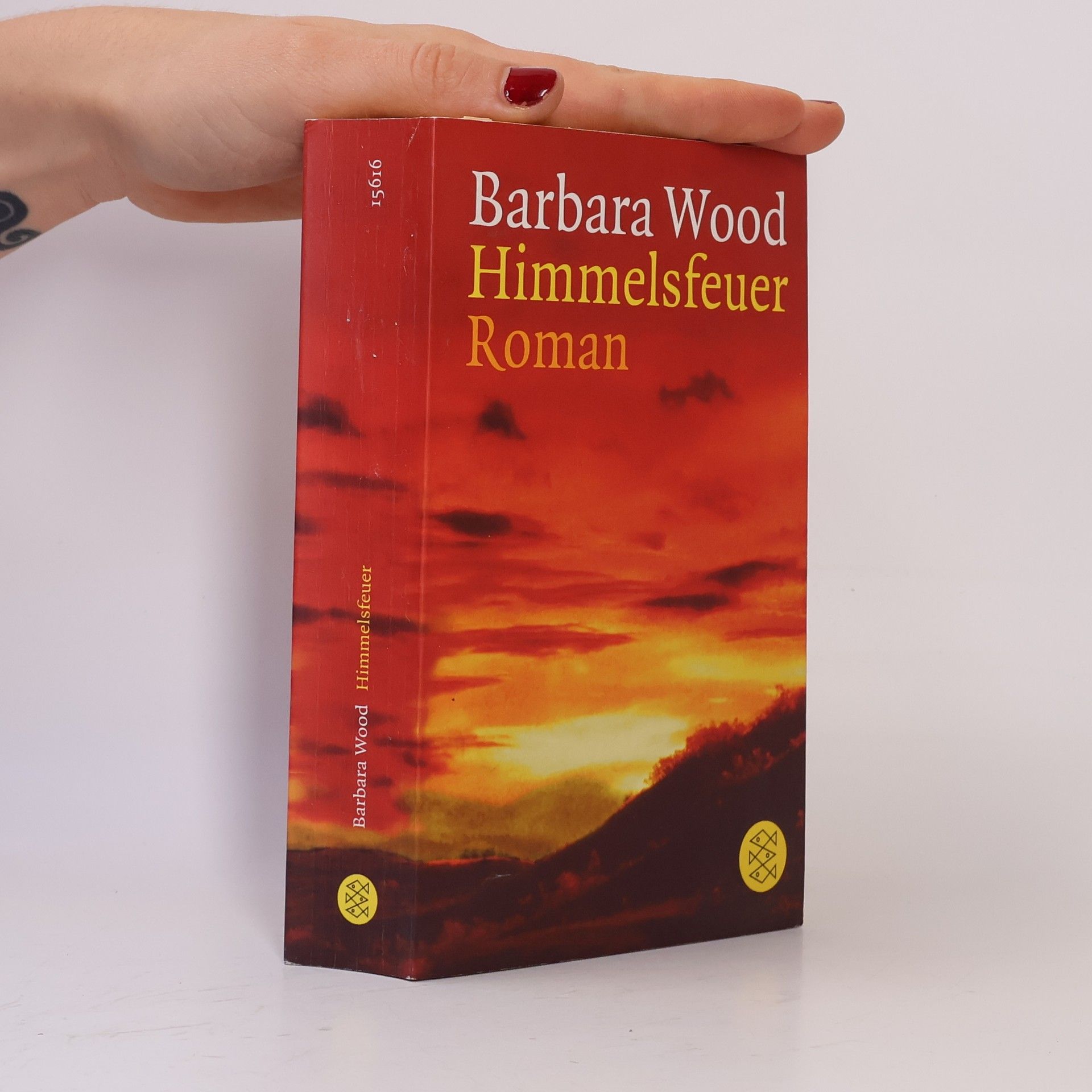 Barbara Wood Himmelsfeuer