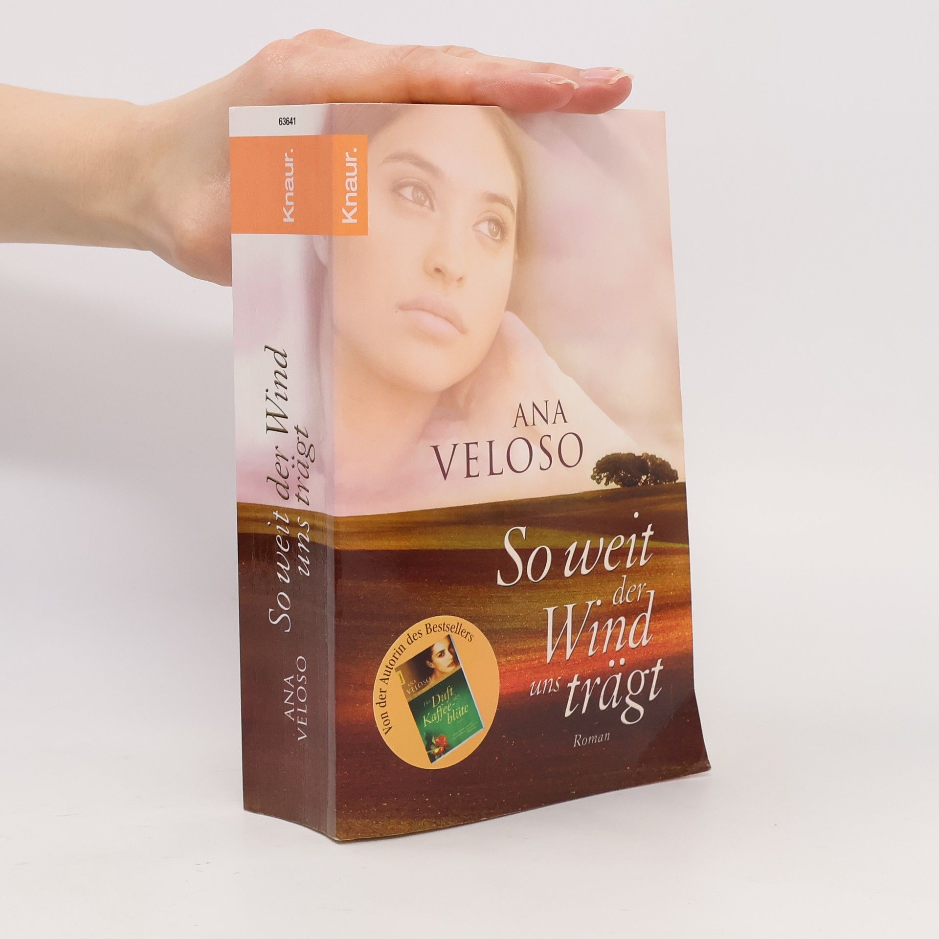 Ana Veloso So weit der Wind uns trägt