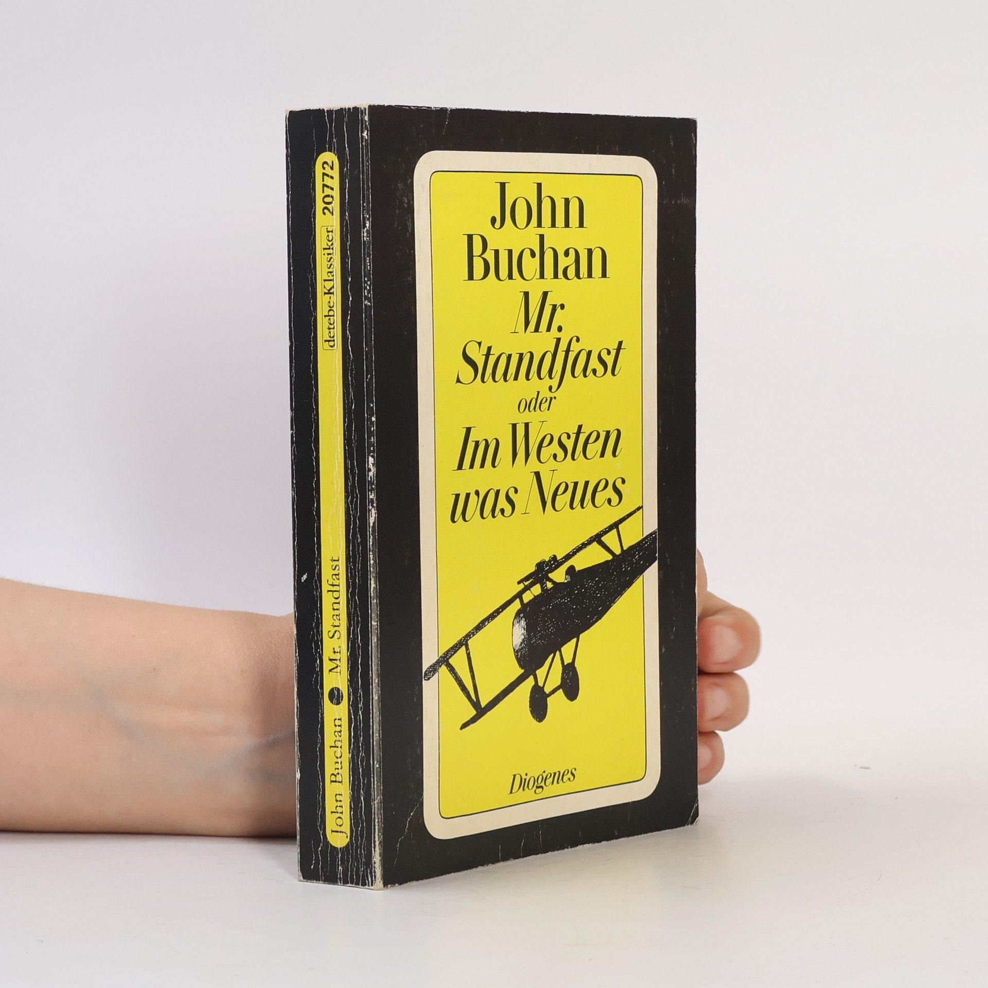 John Buchan Mr. Standfast oder im Westen was Neues