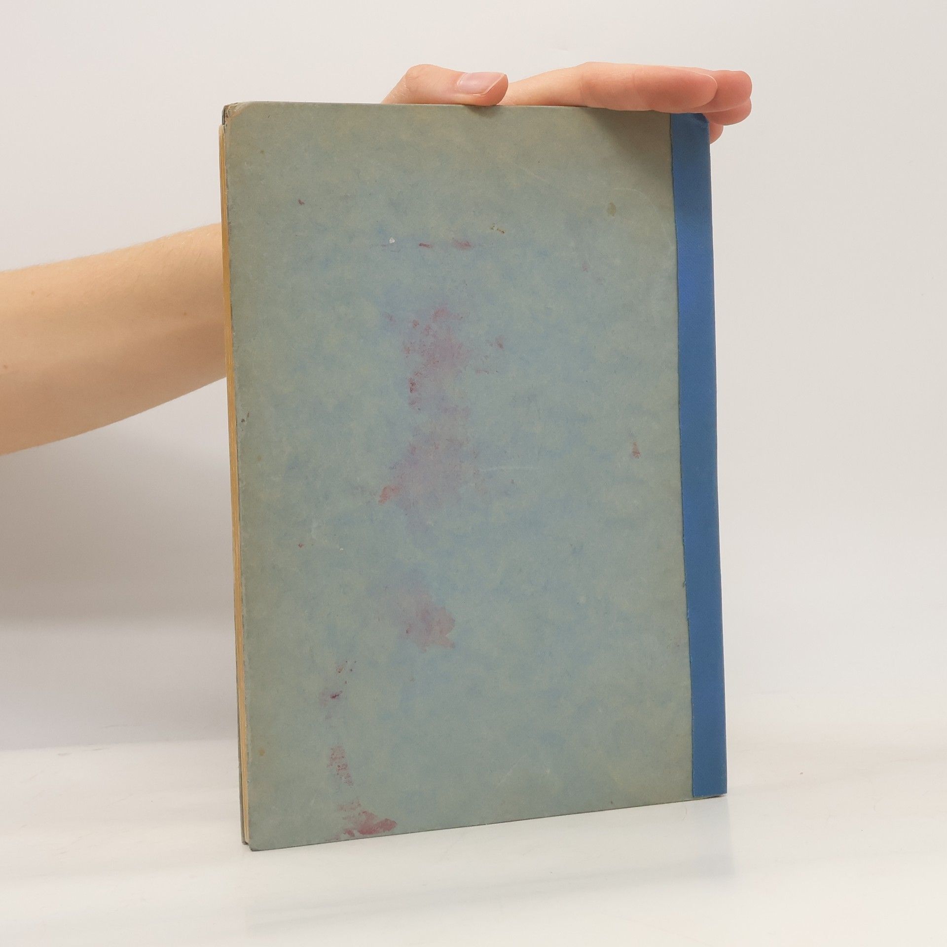 Franz Blei Das Lesebuch der Marquise. Ein Rokokobuch
