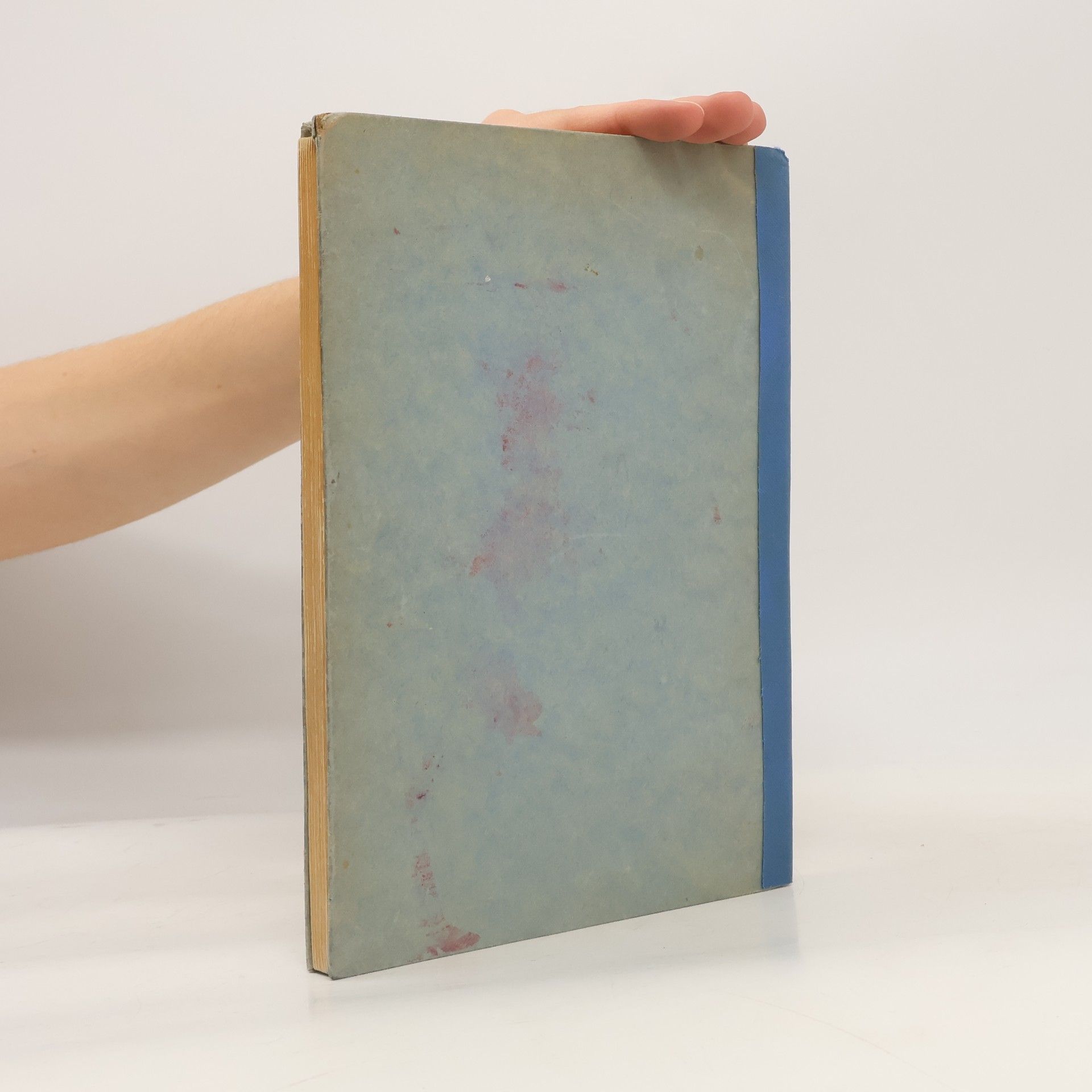 Franz Blei Das Lesebuch der Marquise. Ein Rokokobuch