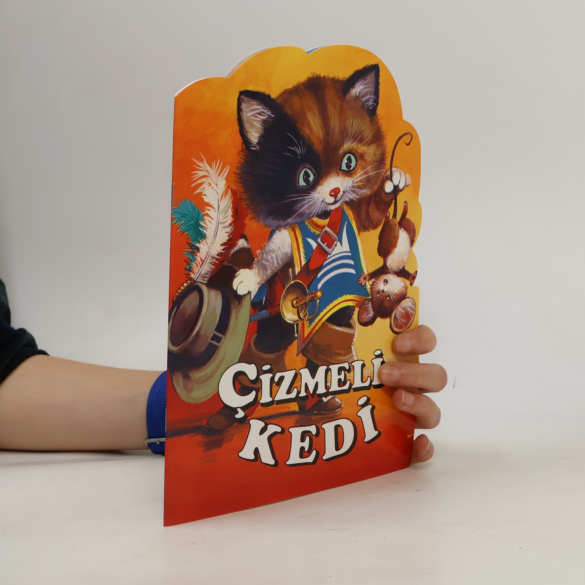 Collectif d'auteurs Çizmeli Kedi