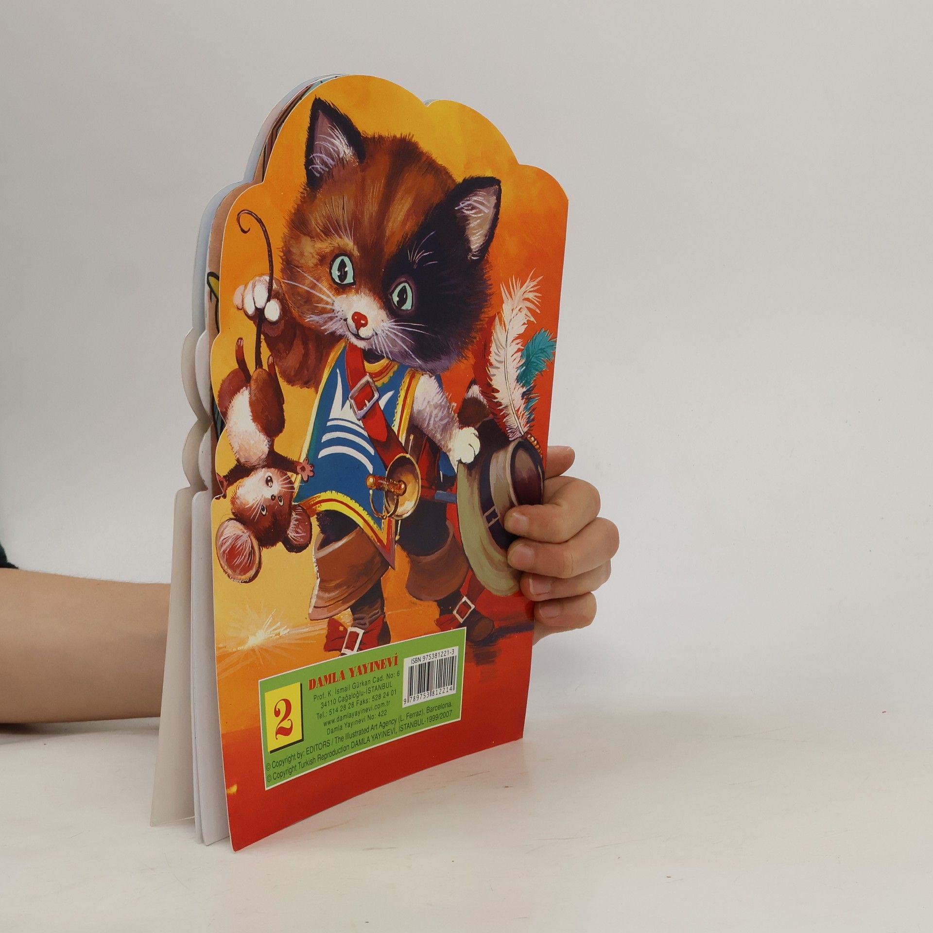 Collectif d'auteurs Çizmeli Kedi