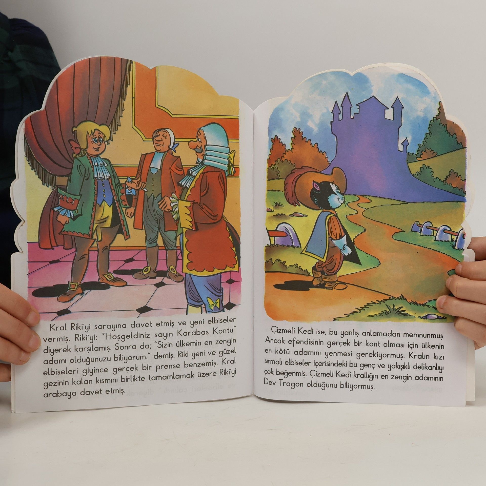 Collectif d'auteurs Çizmeli Kedi
