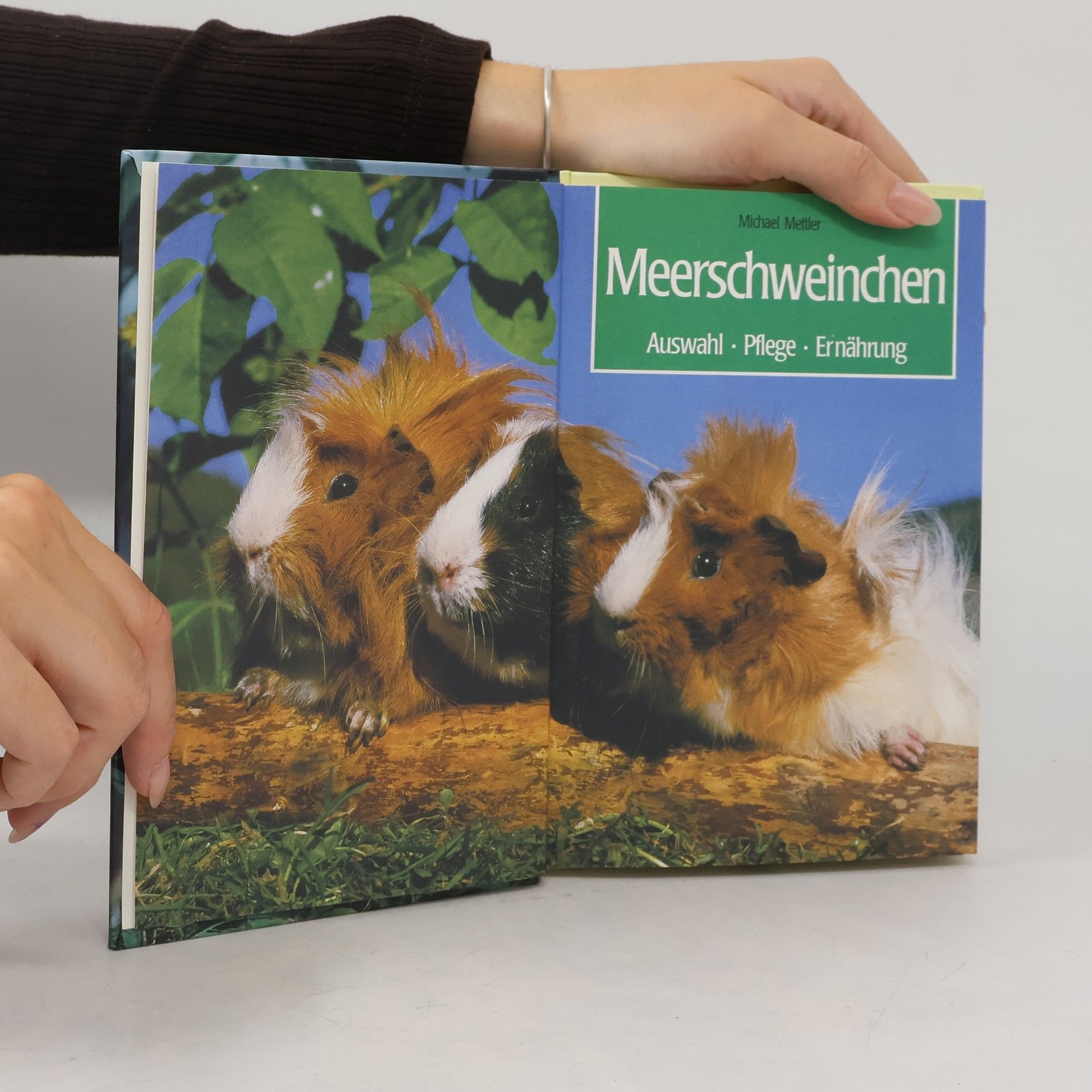 Michael Mettler Meerschweinchen - Auswahl, Pflege, Ernährung
