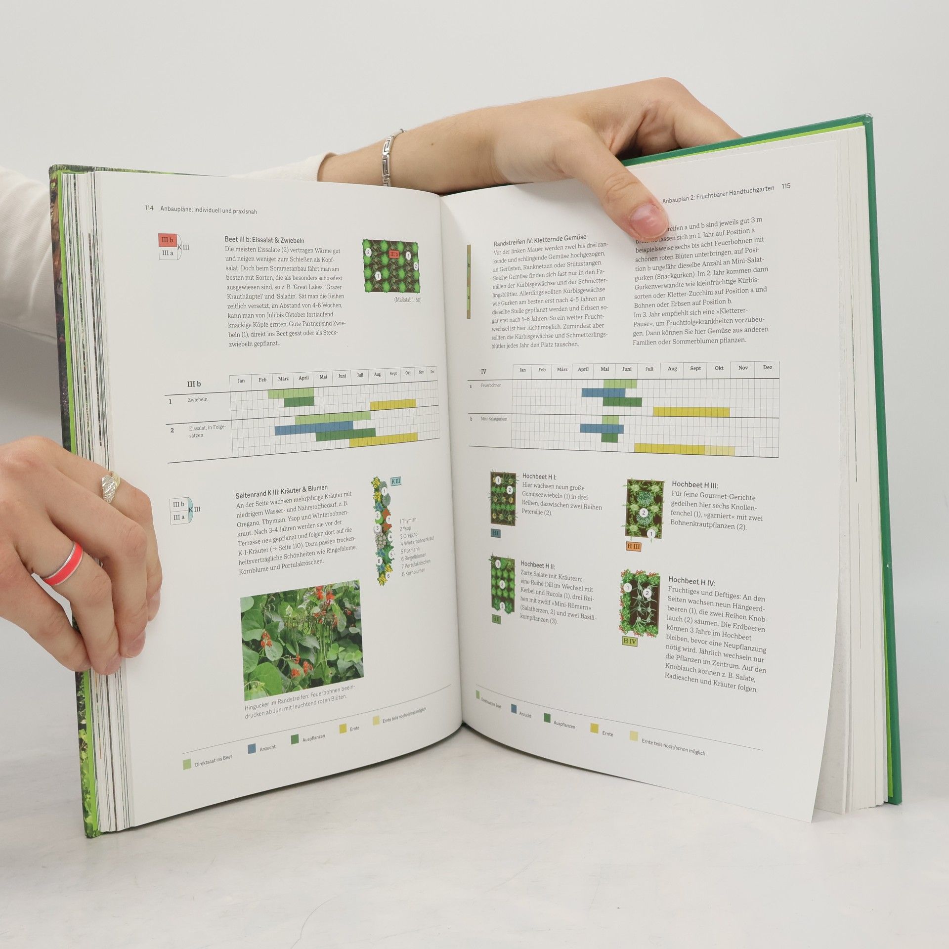 Joachim Mayer Das große BLV Handbuch Gemüse-Anbauplanung