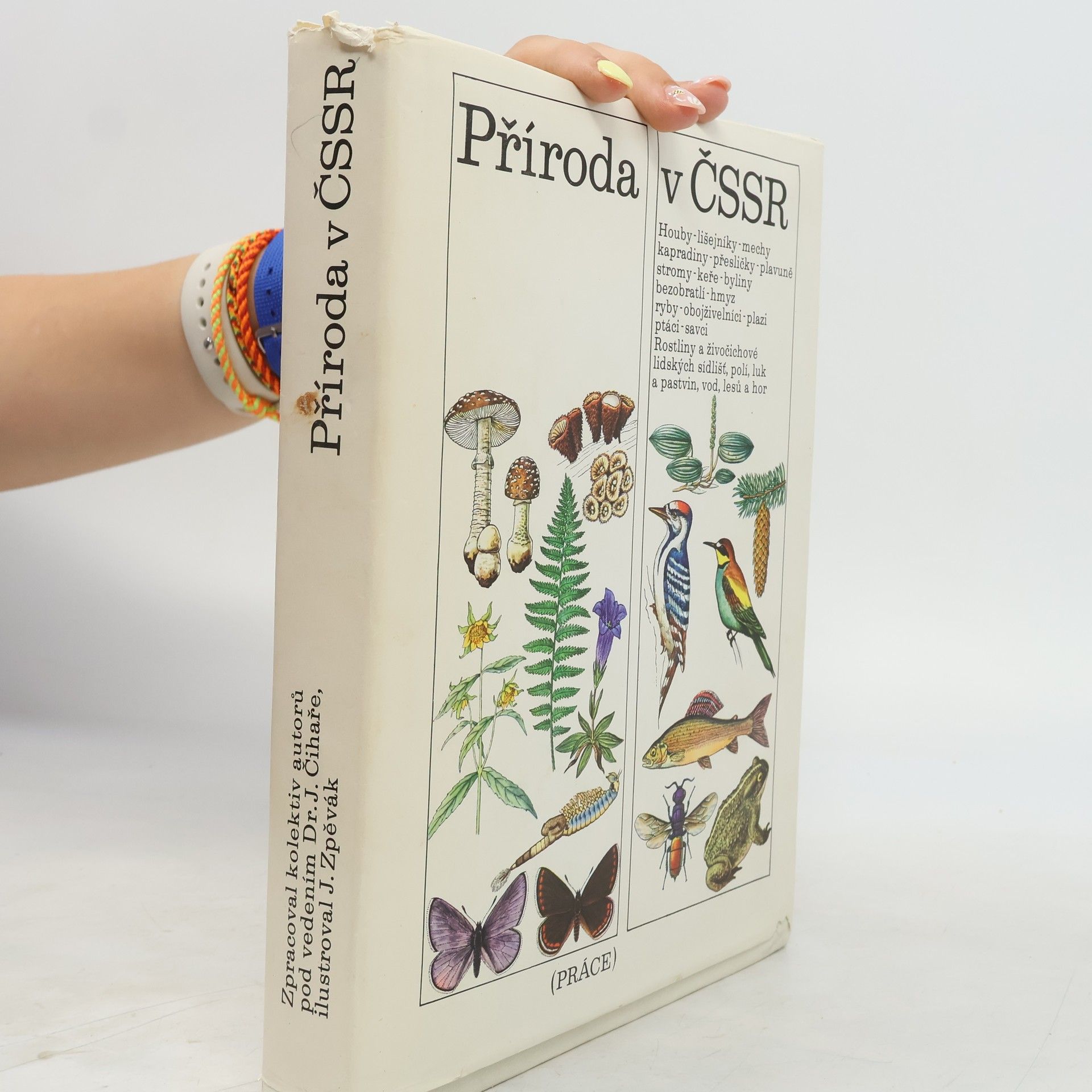Various authors Příroda v ČSSR