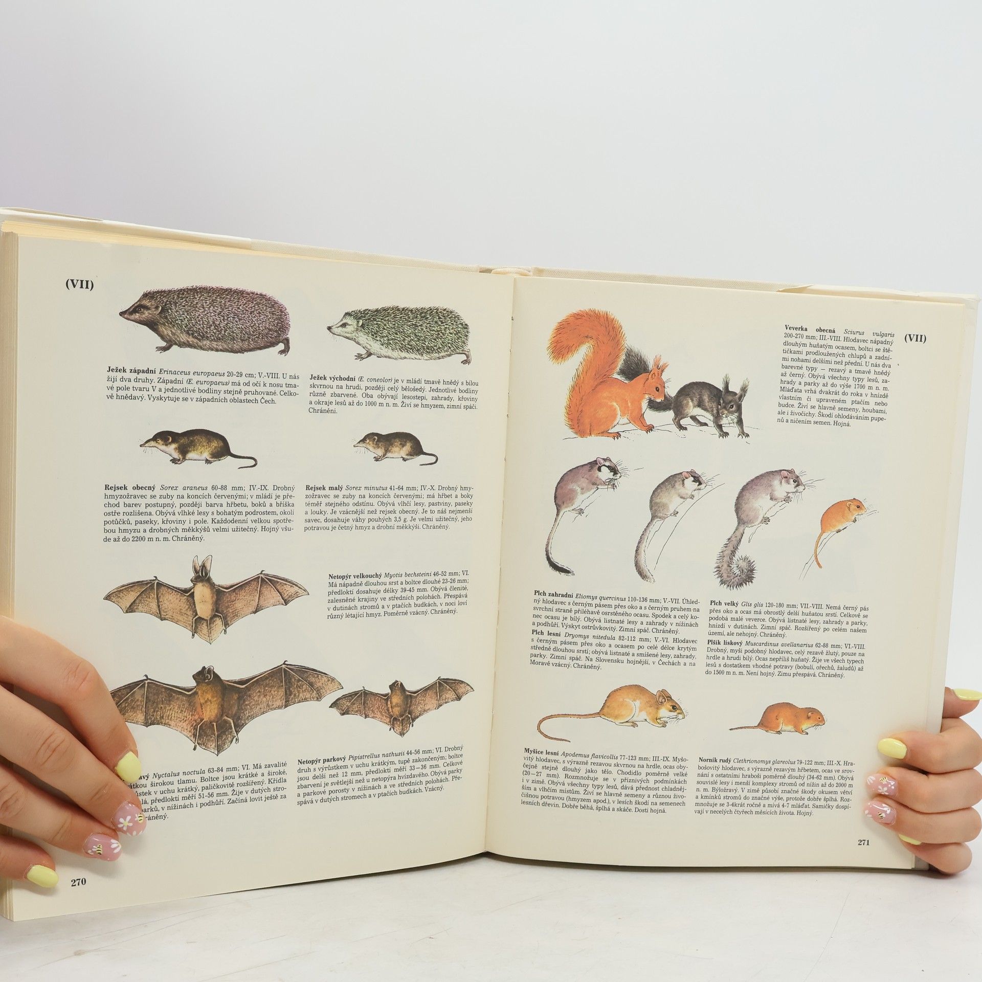 Various authors Příroda v ČSSR