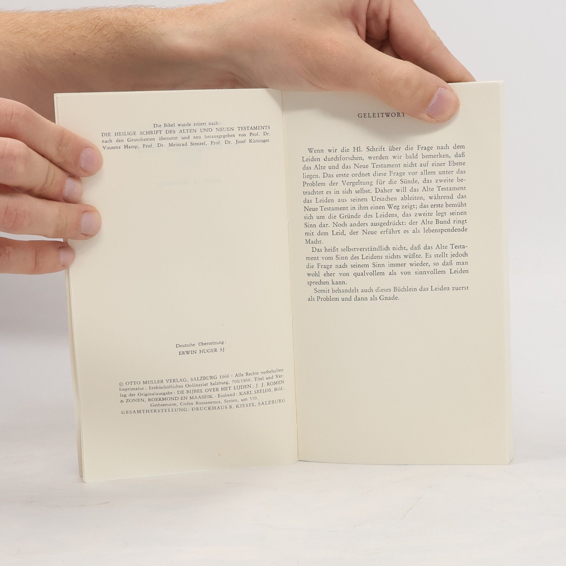 Autorenkollektiv Das Leiden im Zeugnis der Bibel 10