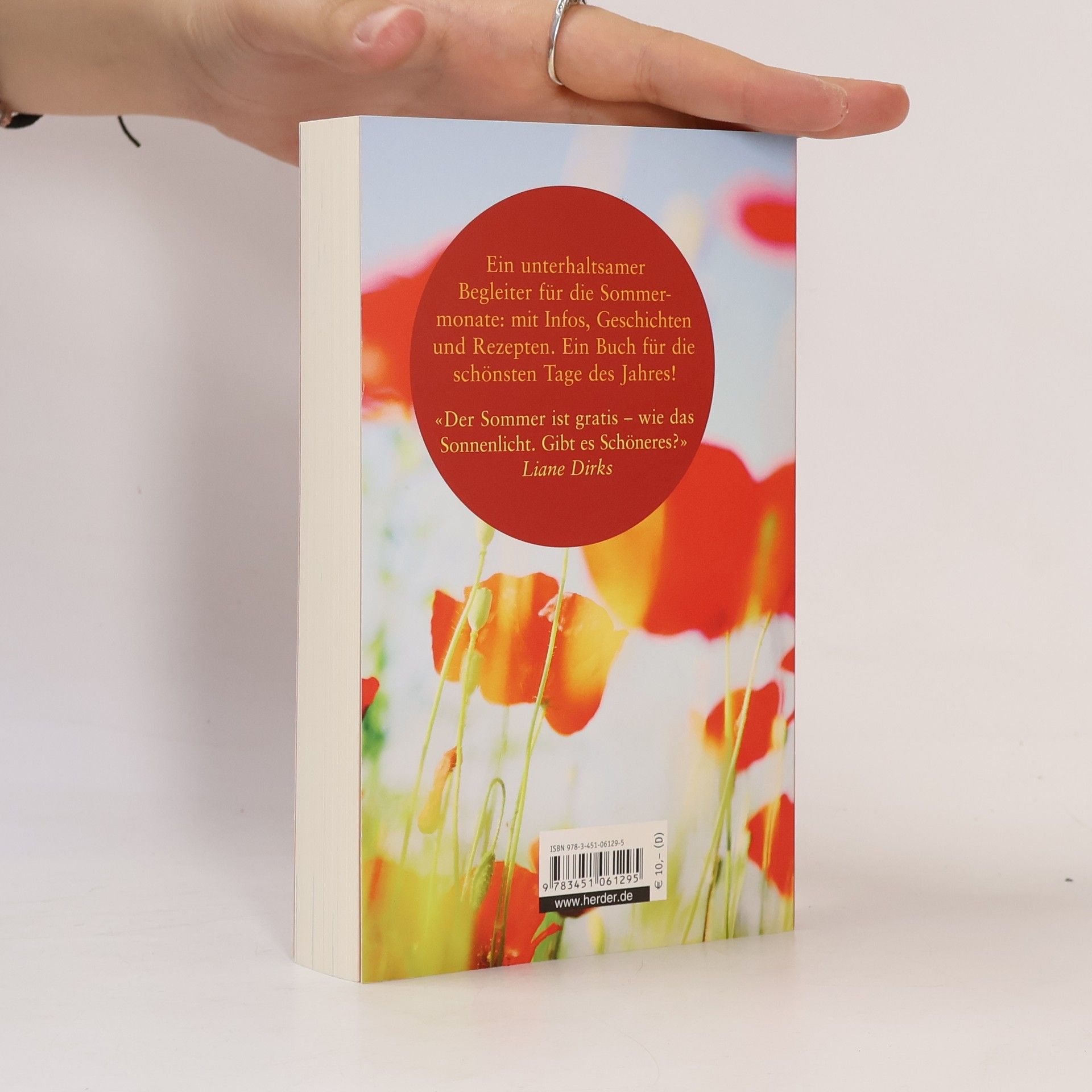 Liane Dirks Das Buch vom leuchtenden Sommer