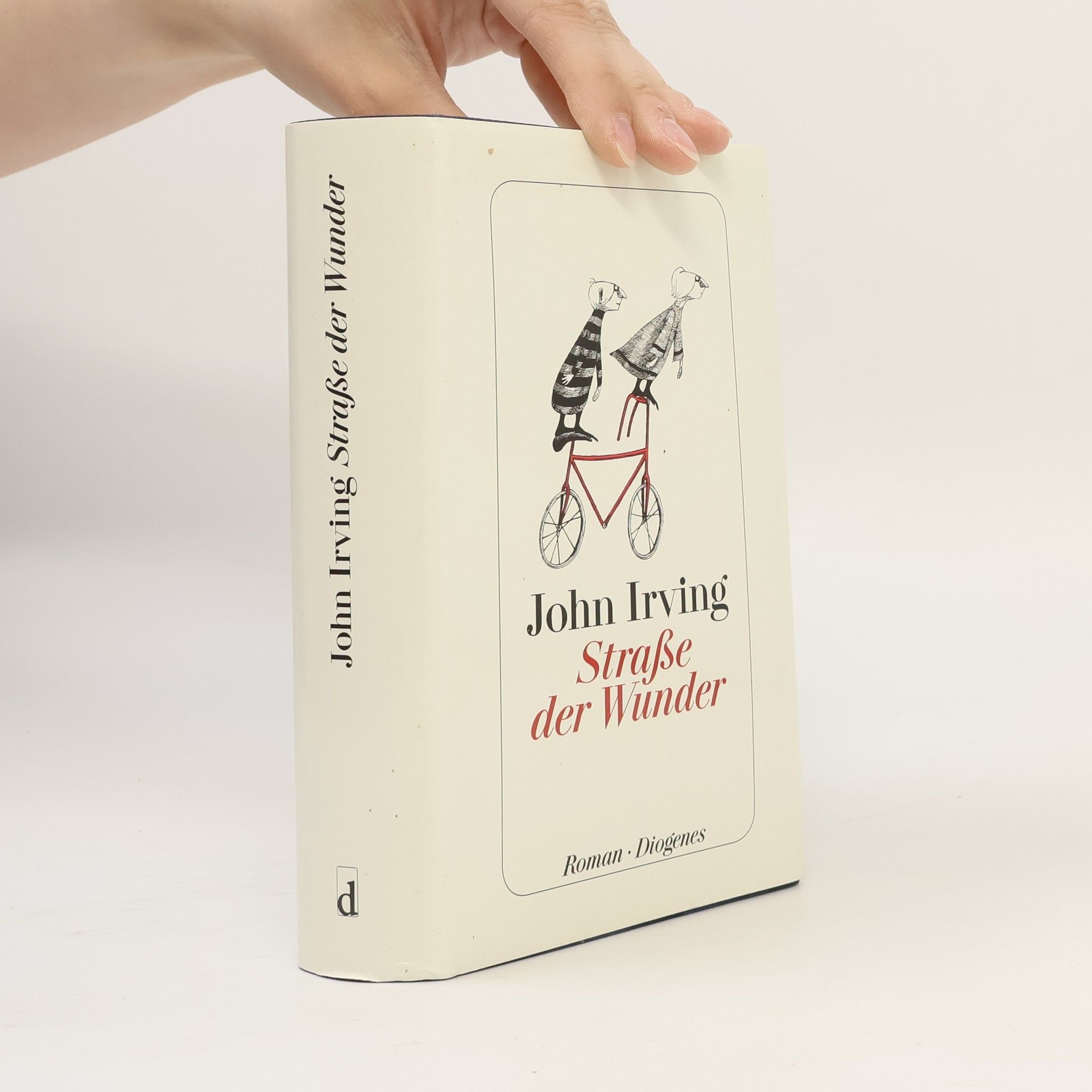 John Irving Straße der Wunder