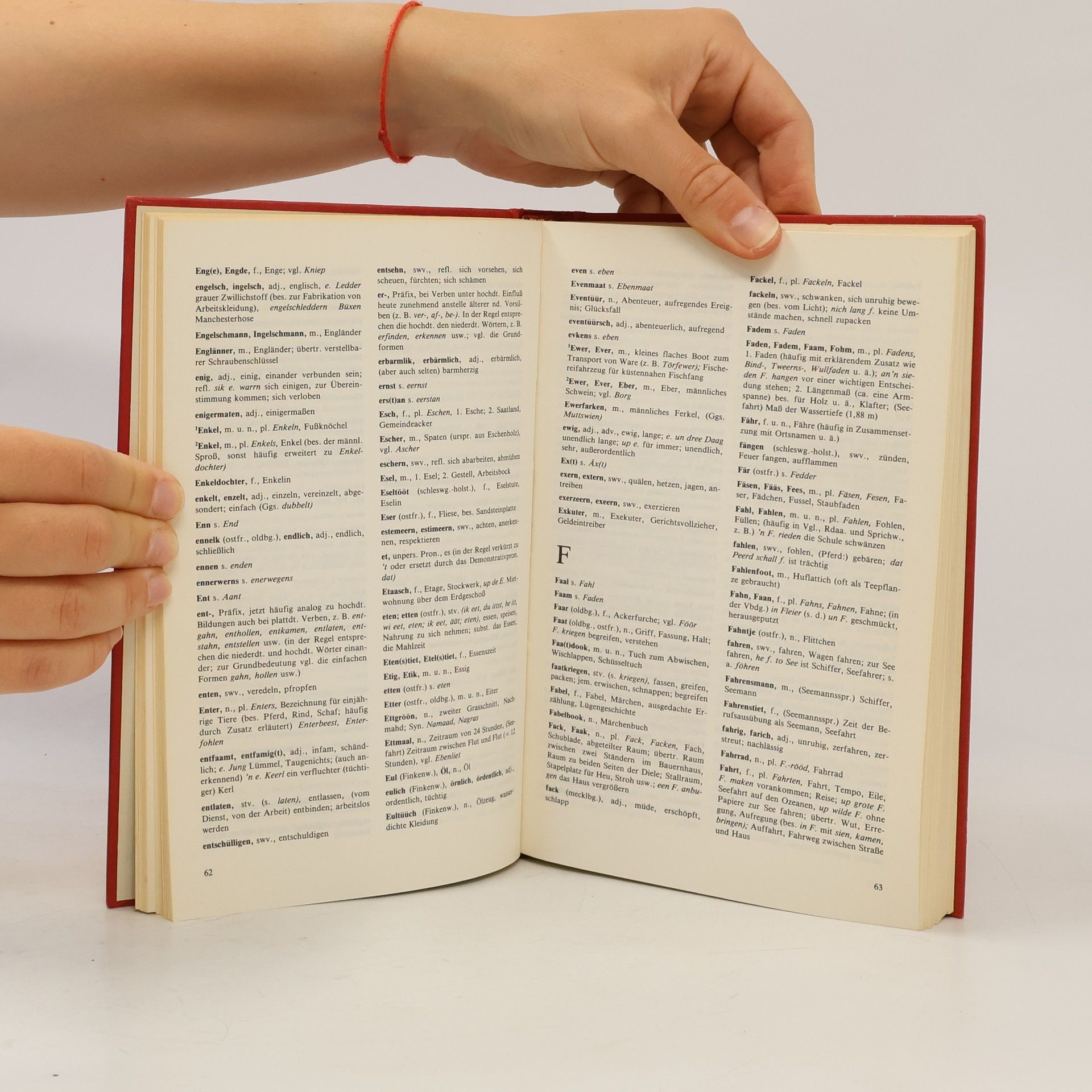 Wolfgang Lindow Plattdeutsches Wörterbuch