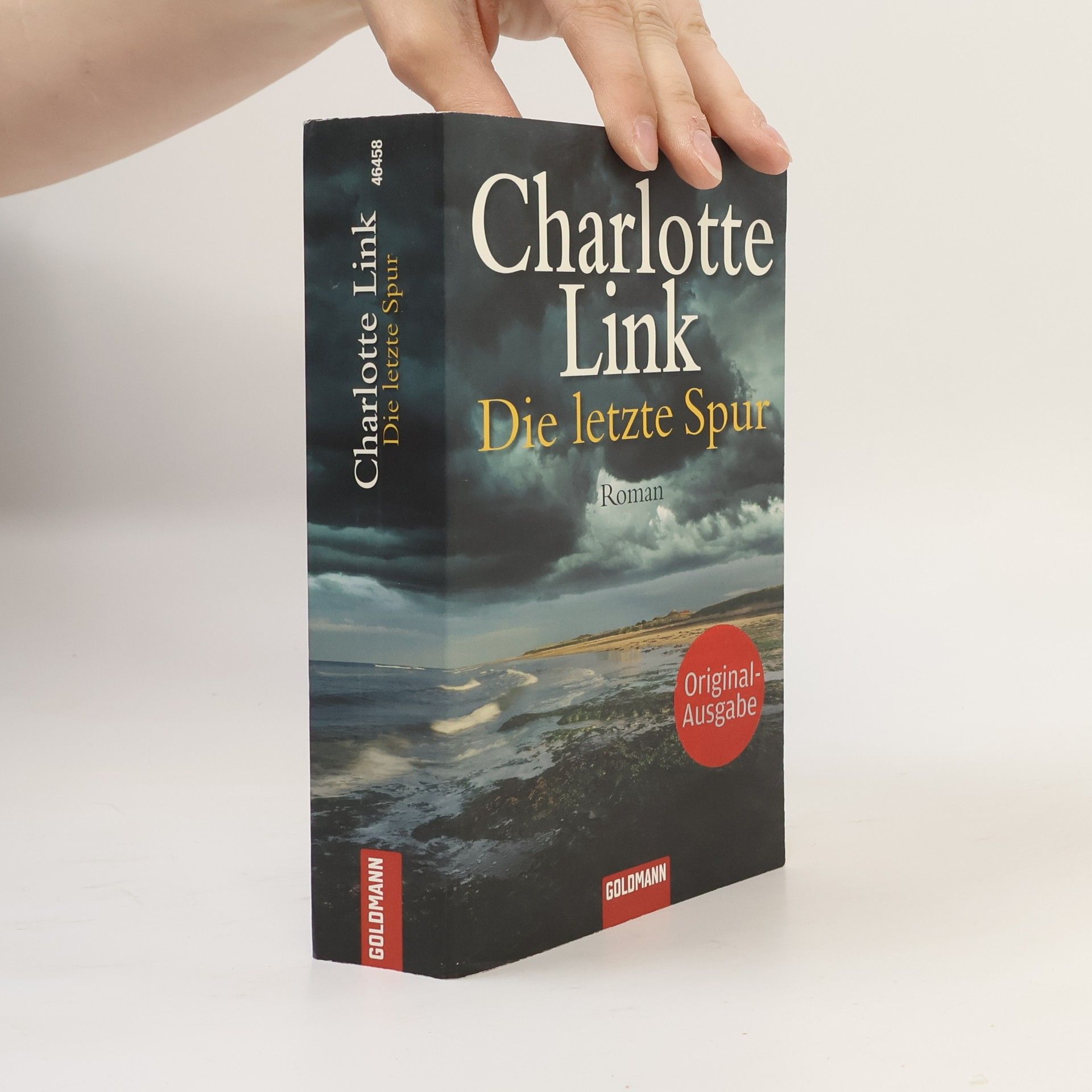 Charlotte Link Die letzte Spur