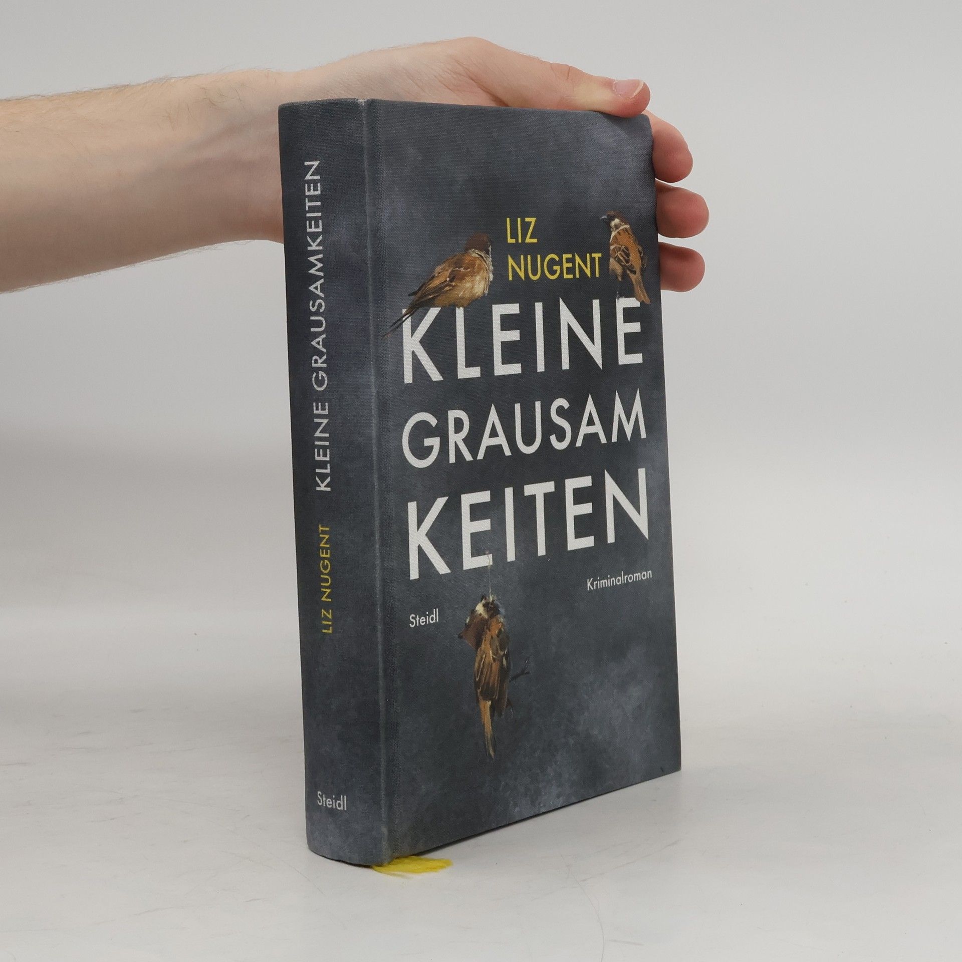 Liz Nugent Kleine Grausamkeiten