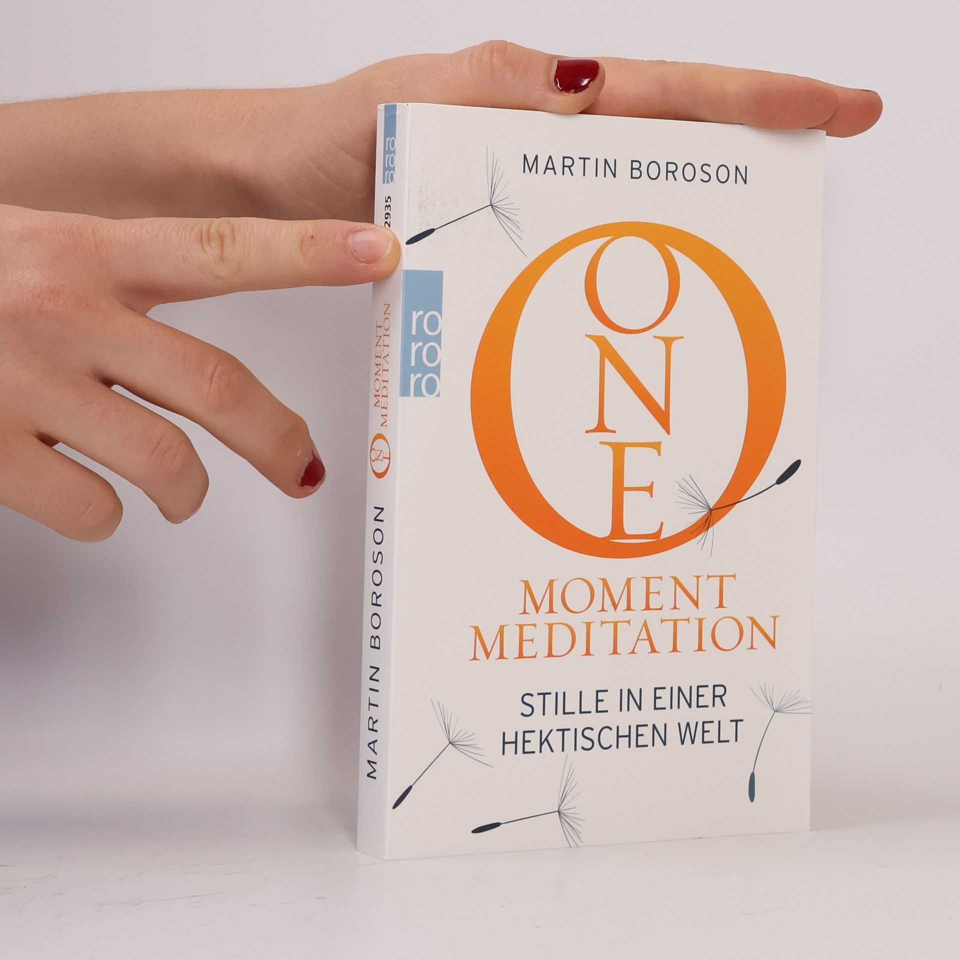 Martin Boroson One Moment Meditation