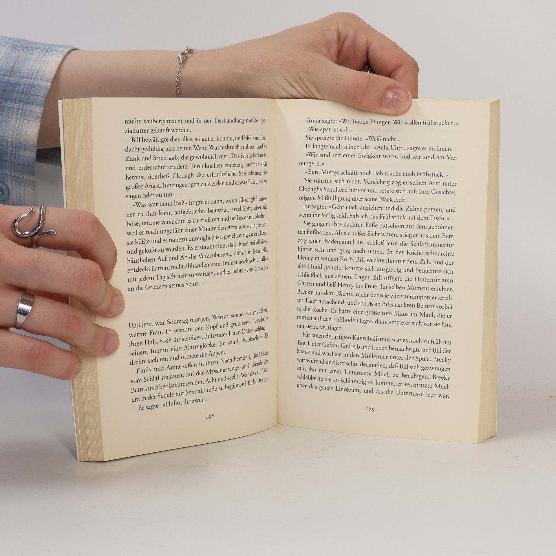 Rosamunde Pilcher Das blaue Zimmer