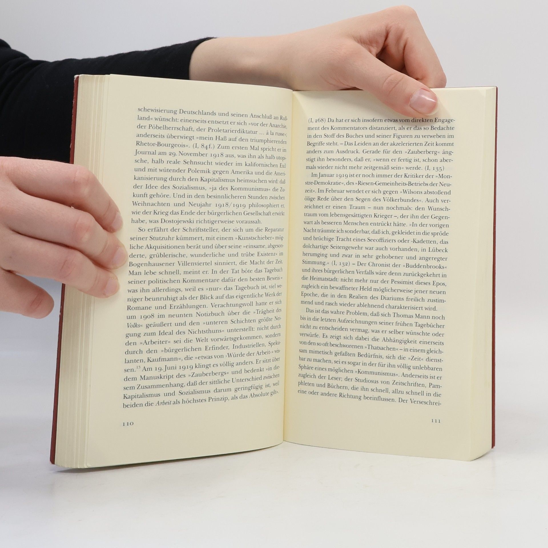 Martin Meyer Edition Akzente: Tagebuch und spätes Leid