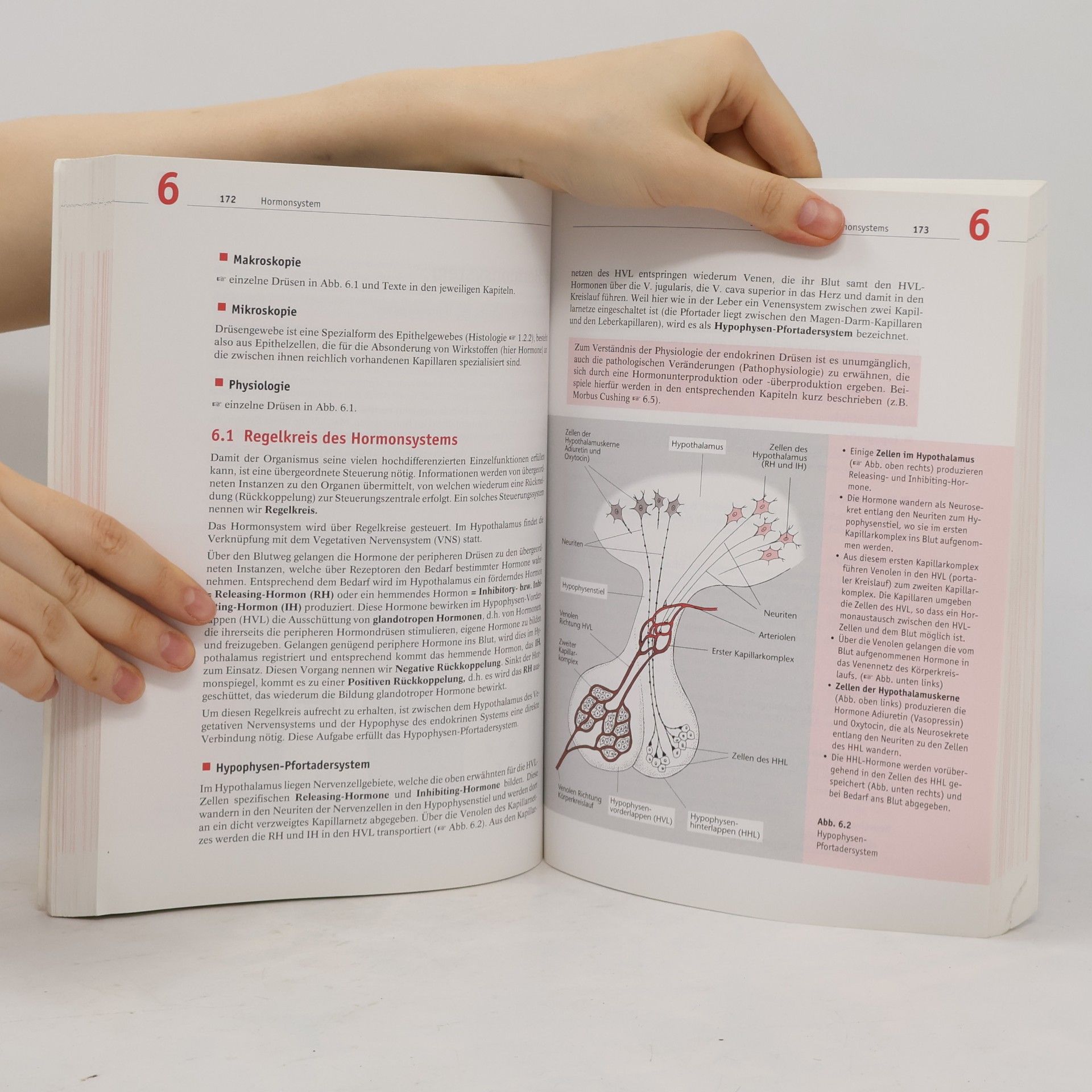 Erica Brühlmann-Jecklin Arbeitsbuch Anatomie und Physiologie für Pflege- und andere Gesundheitsfachberufe