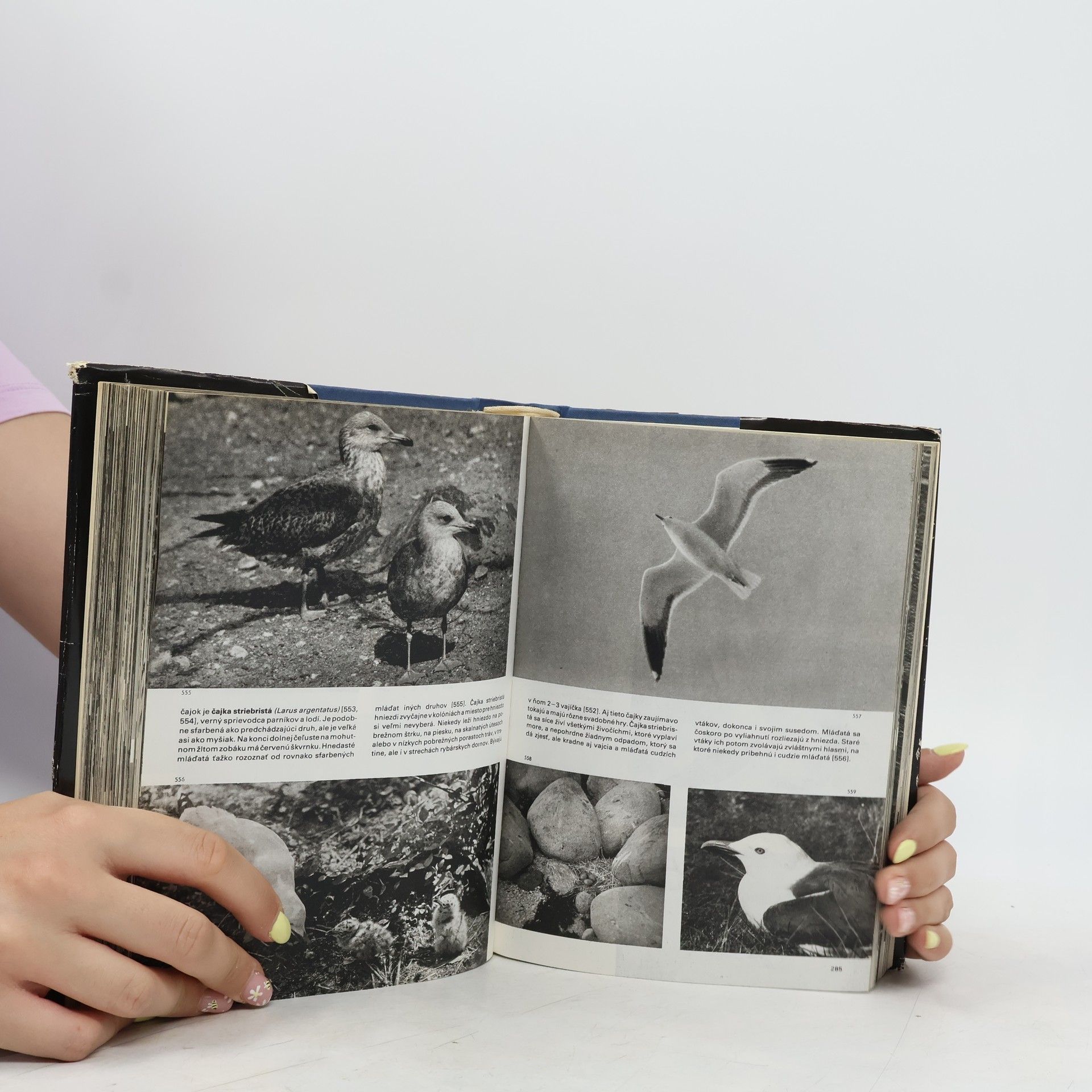 Jan Hanzák Veľký obrazový atlas vtákov