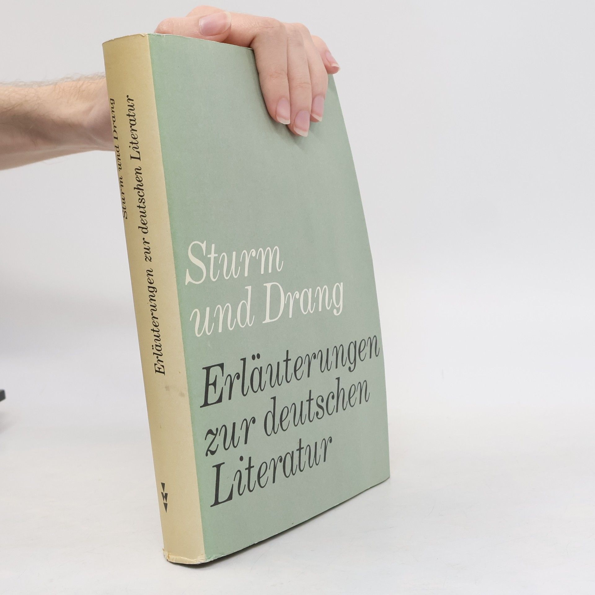 Kolektív autorov Sturm und Drang. Erläuterungen zur deutschen Literatur