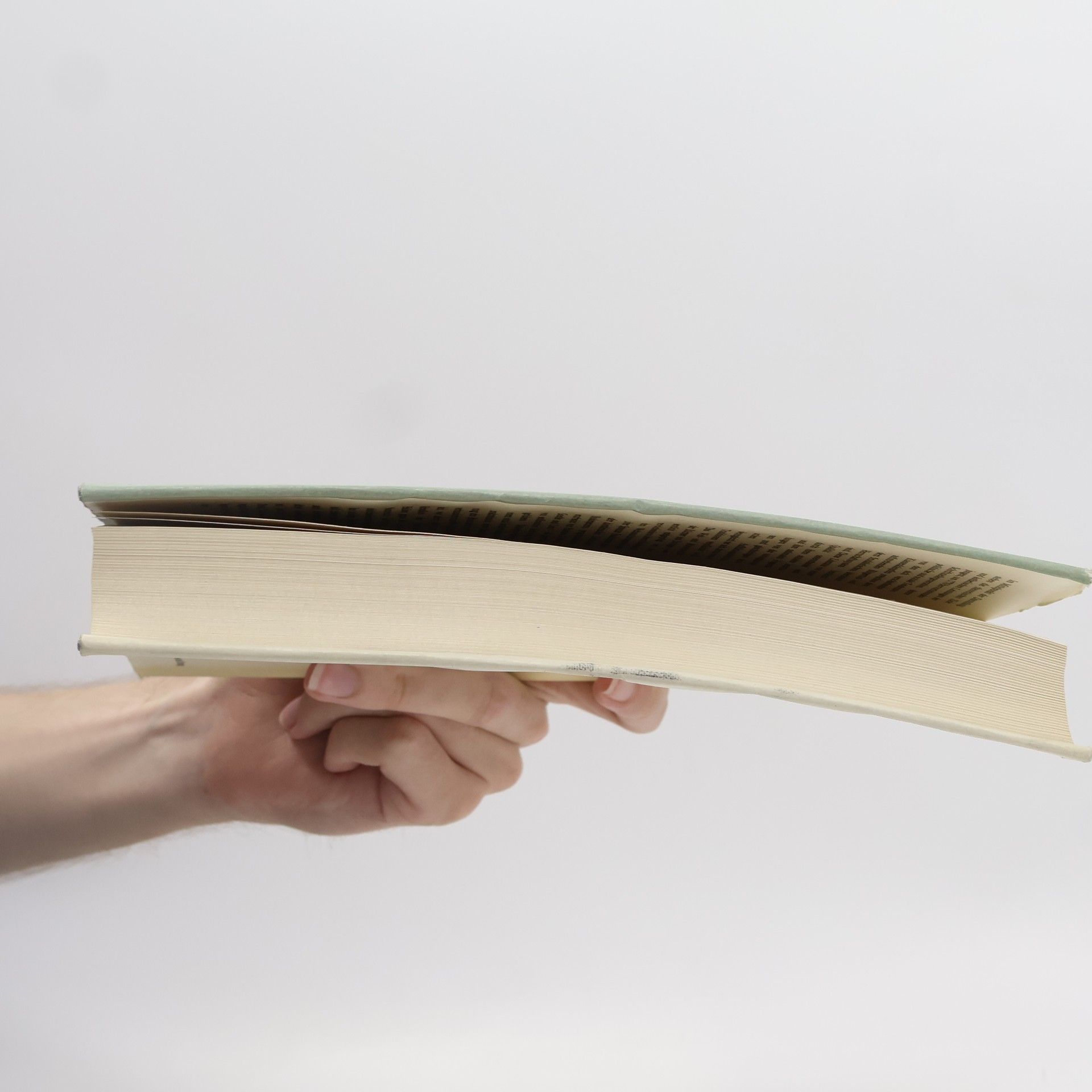Kolektív autorov Sturm und Drang. Erläuterungen zur deutschen Literatur