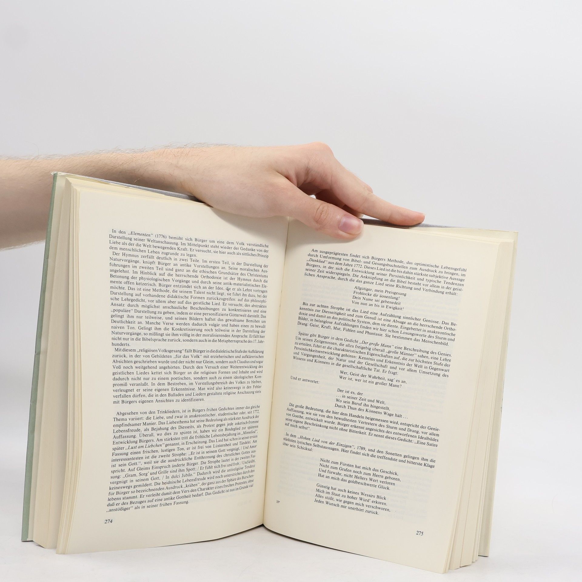Kolektív autorov Sturm und Drang. Erläuterungen zur deutschen Literatur