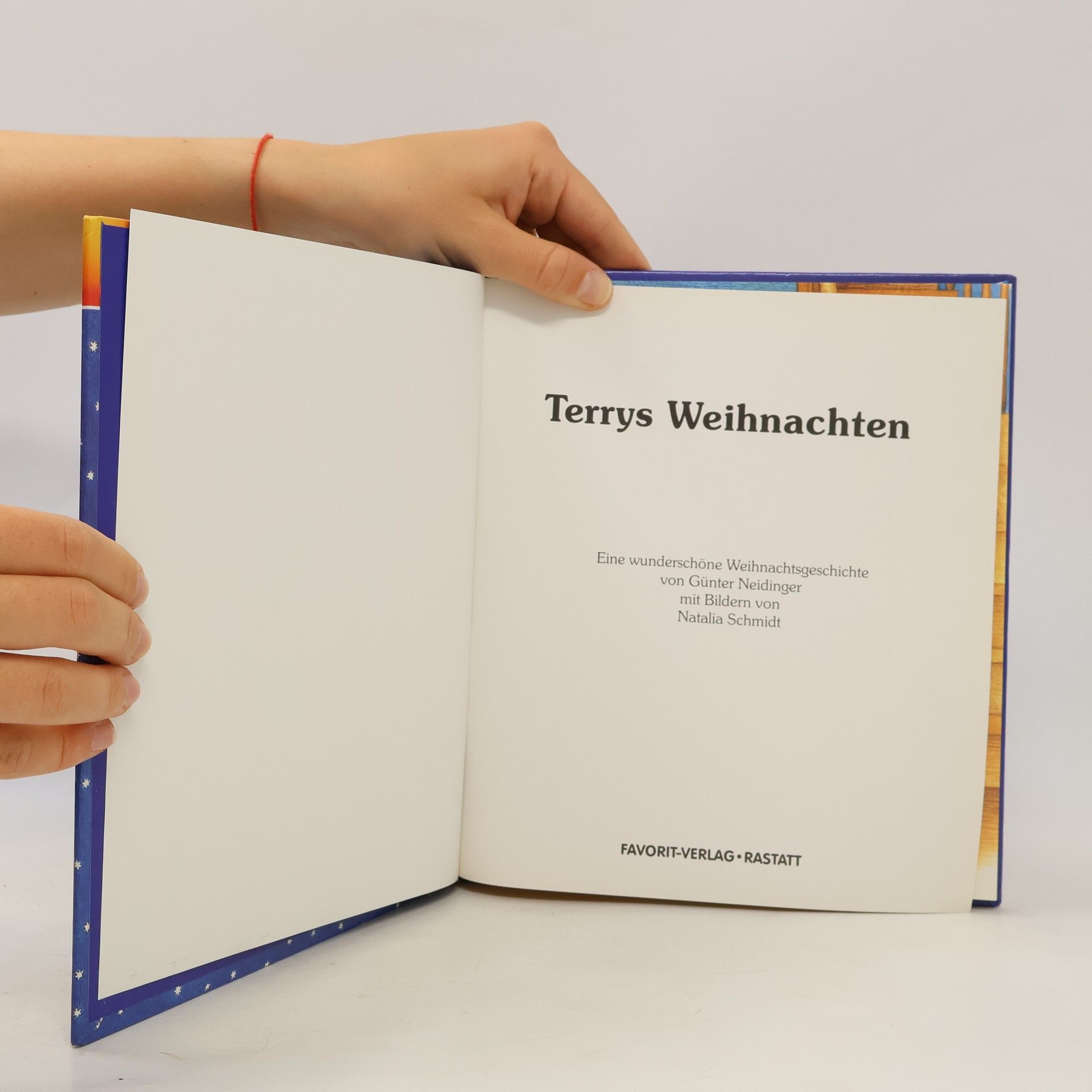 Günter Neidinger Terrys Weihnachten