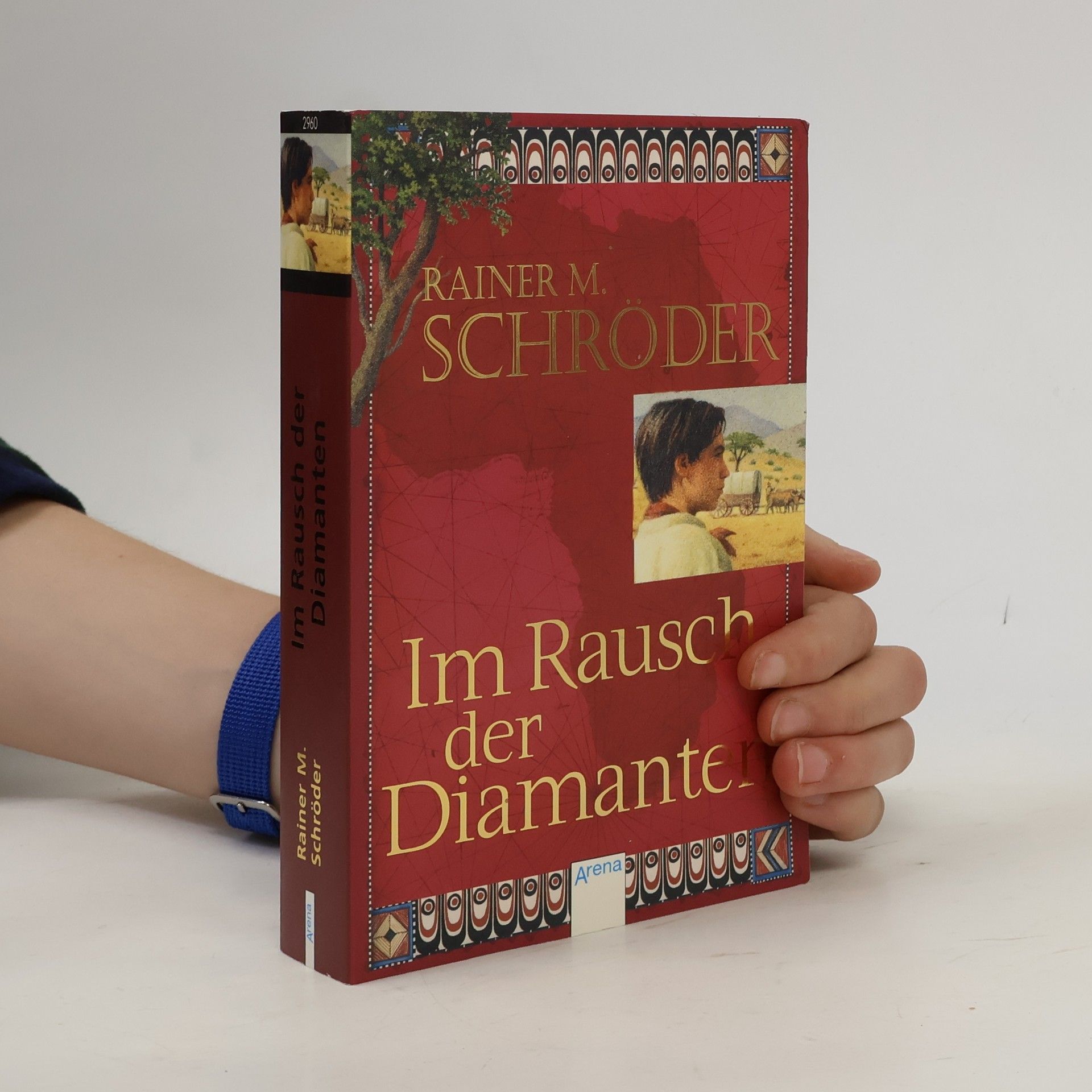 Rainer M. Schröder Im Rausch der Diamanten