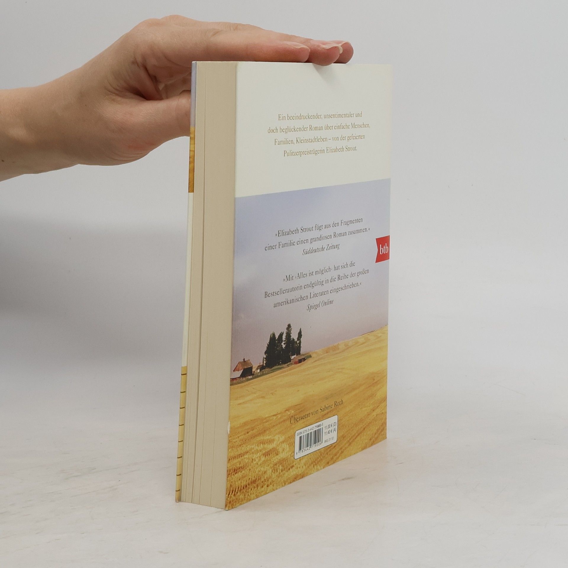Elizabeth Strout Alles ist möglich