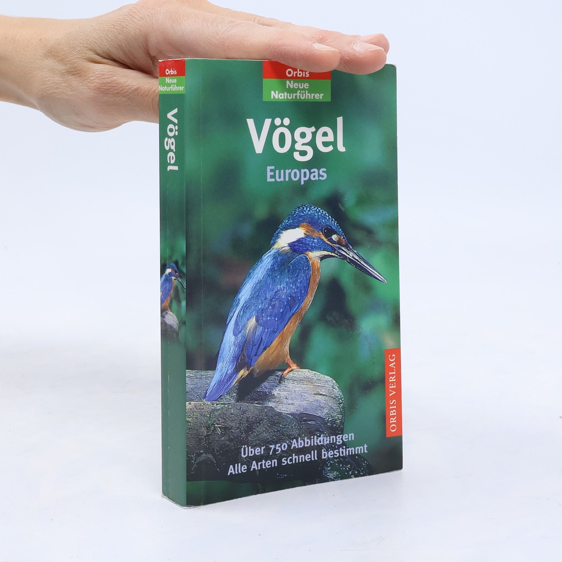 Peter Holden Vögel Europas