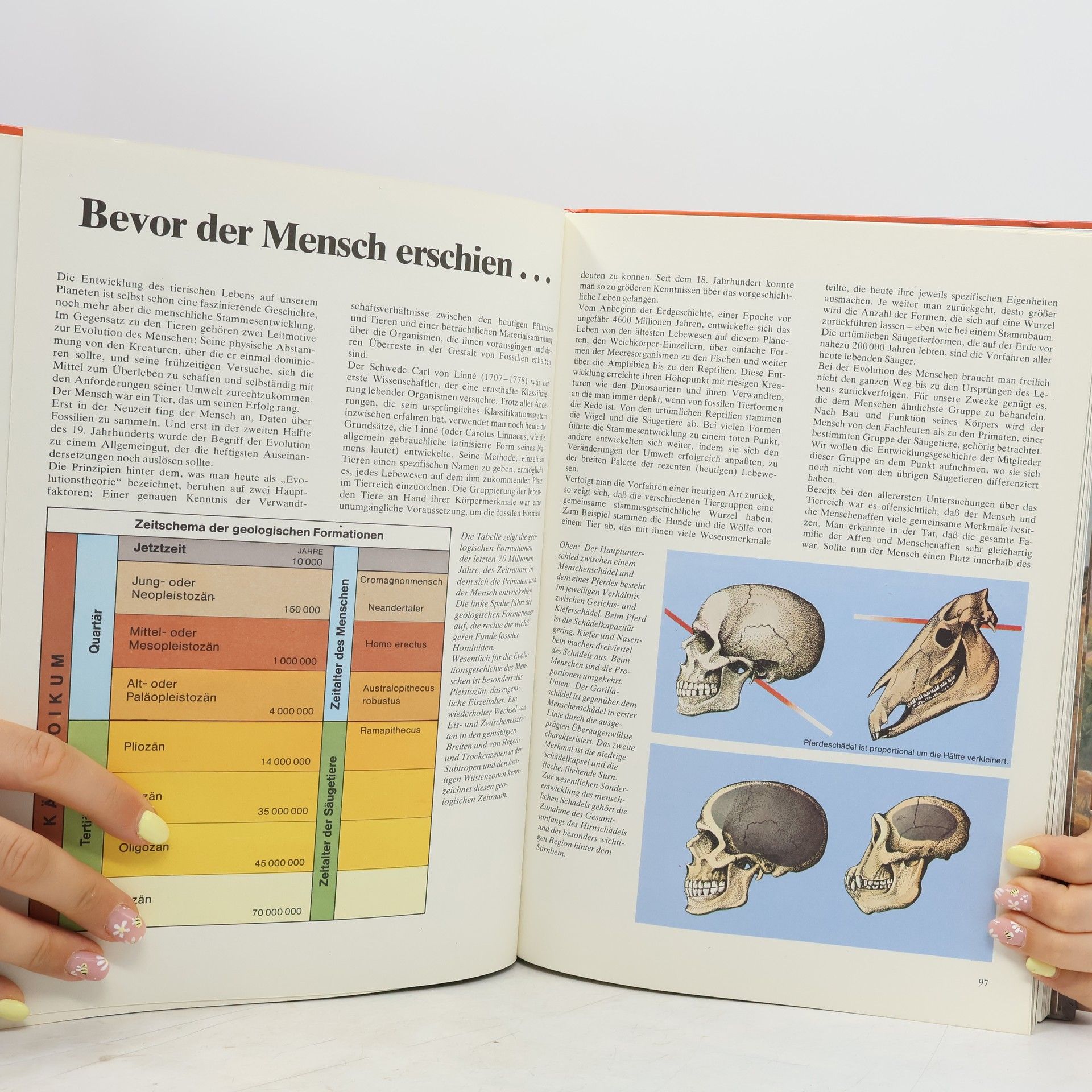 John Waechter Die Dinosaurier. Die Welt des Urmenschen