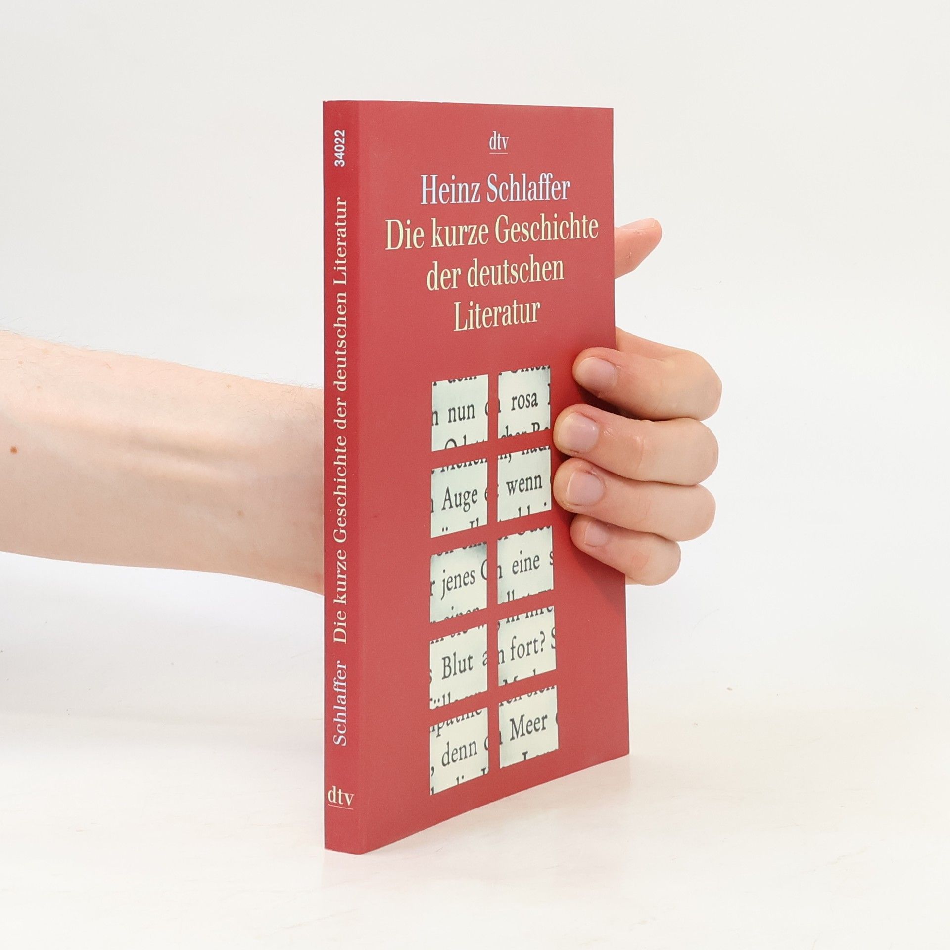 Heinz Schlaffer Die kurze Geschichte der deutschen Literatur