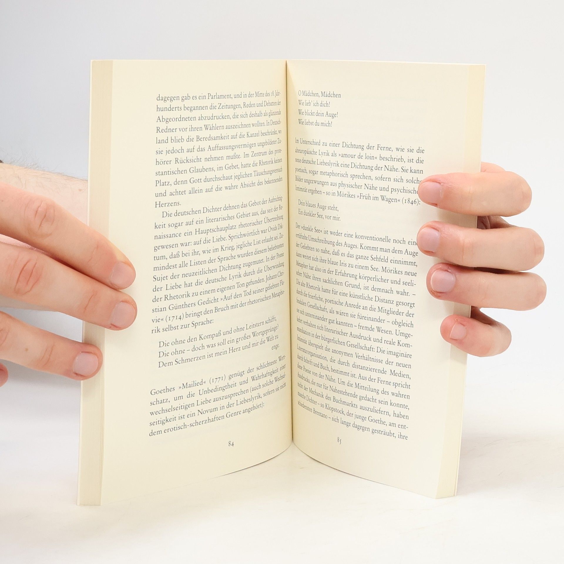 Heinz Schlaffer Die kurze Geschichte der deutschen Literatur