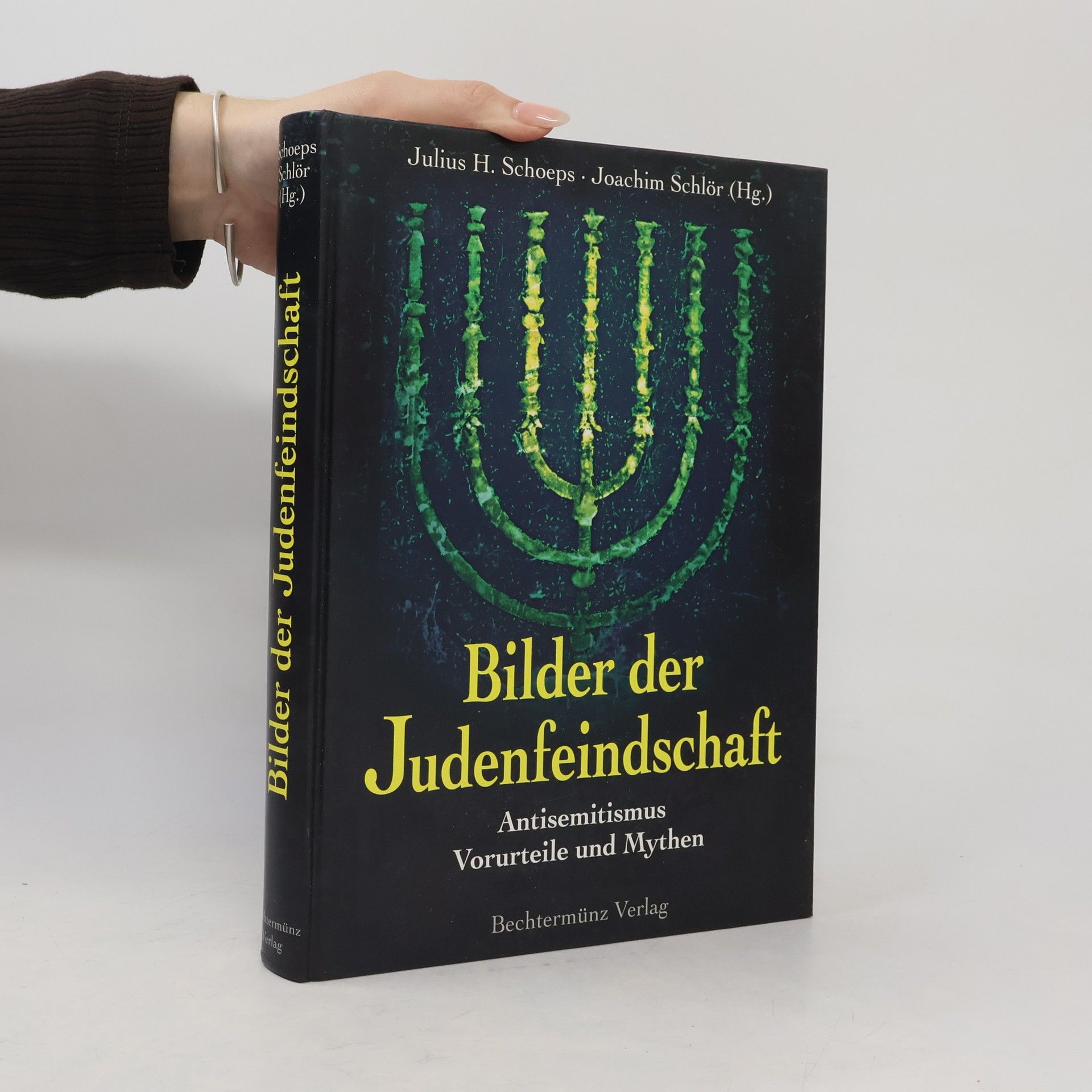 Julius H. Schoeps Bilder der Judenfeindschaft