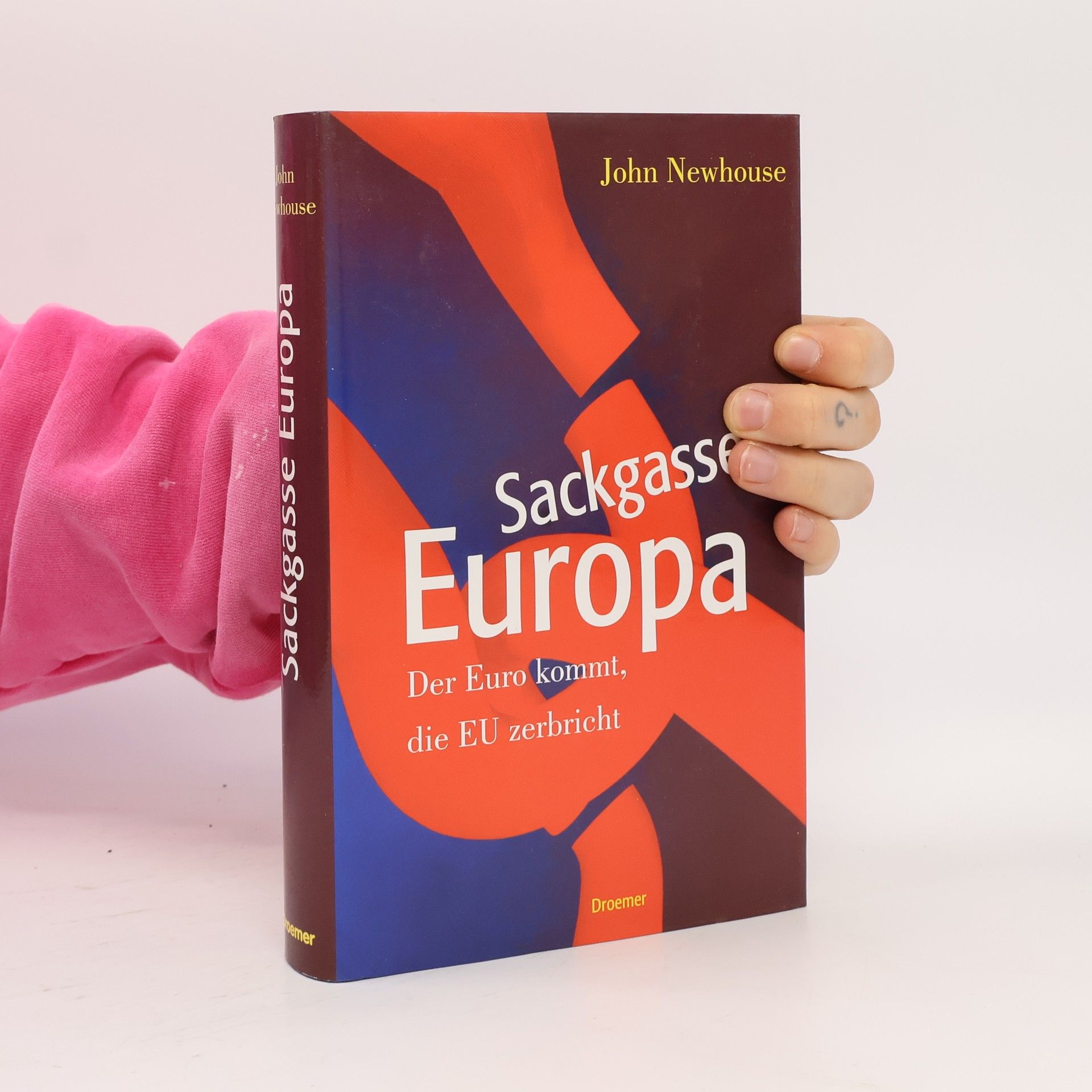Sackgasse Europa. Der Euro kommt, die EU zerbricht