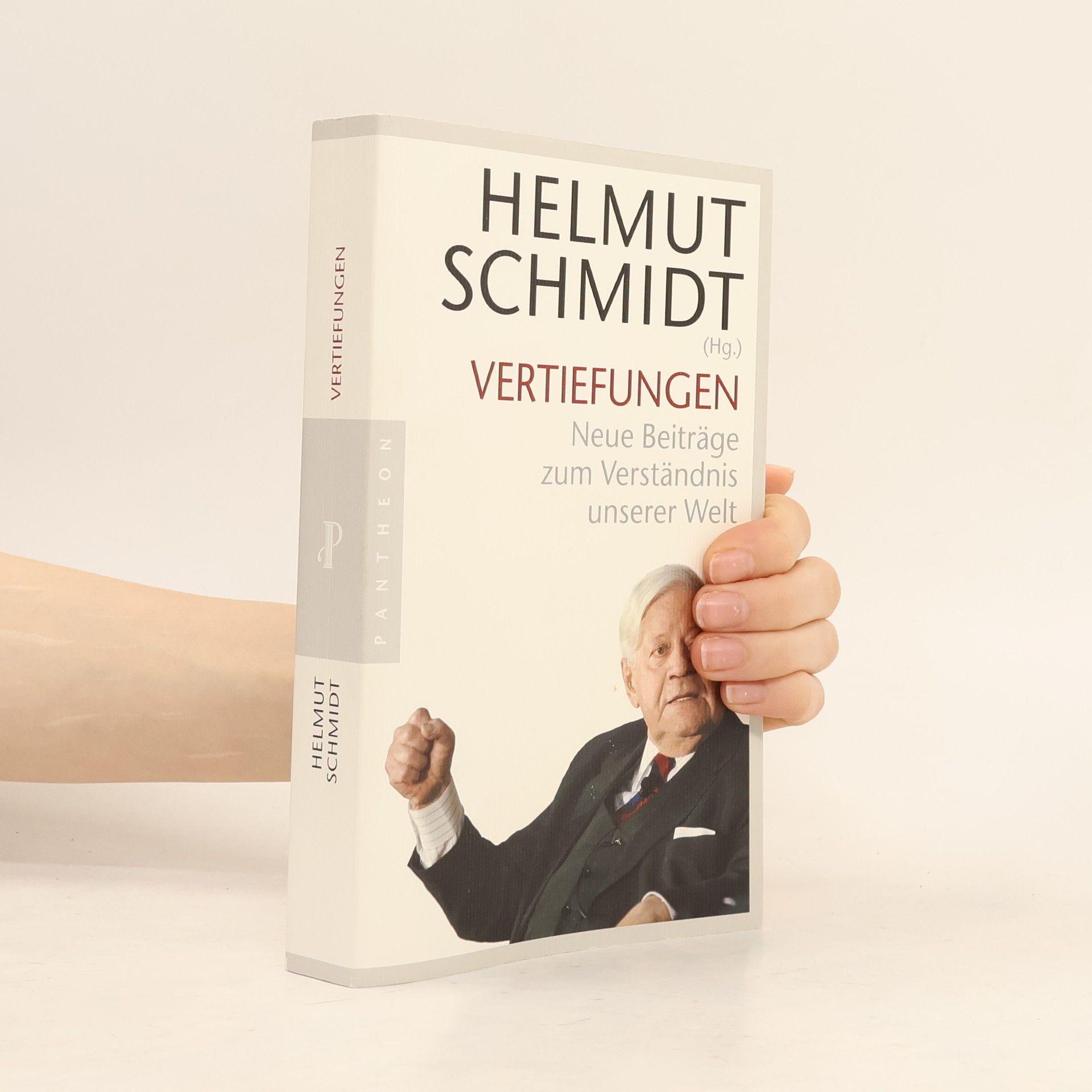 Helmut Schmidt Vertiefungen