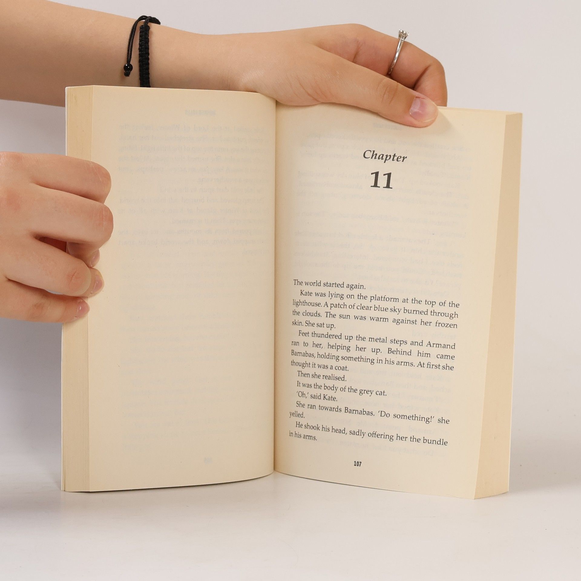 Amelia Williams Summer Falls and Other Stories