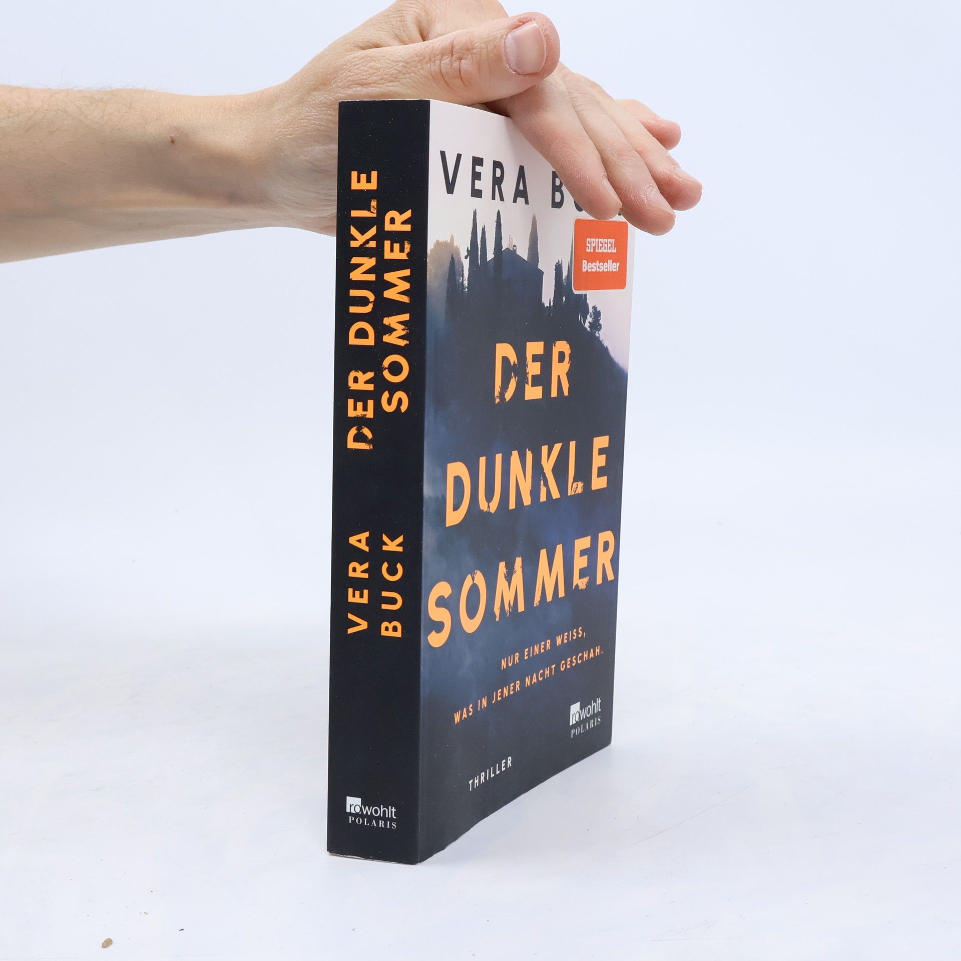 Vera Buck Der dunkle Sommer